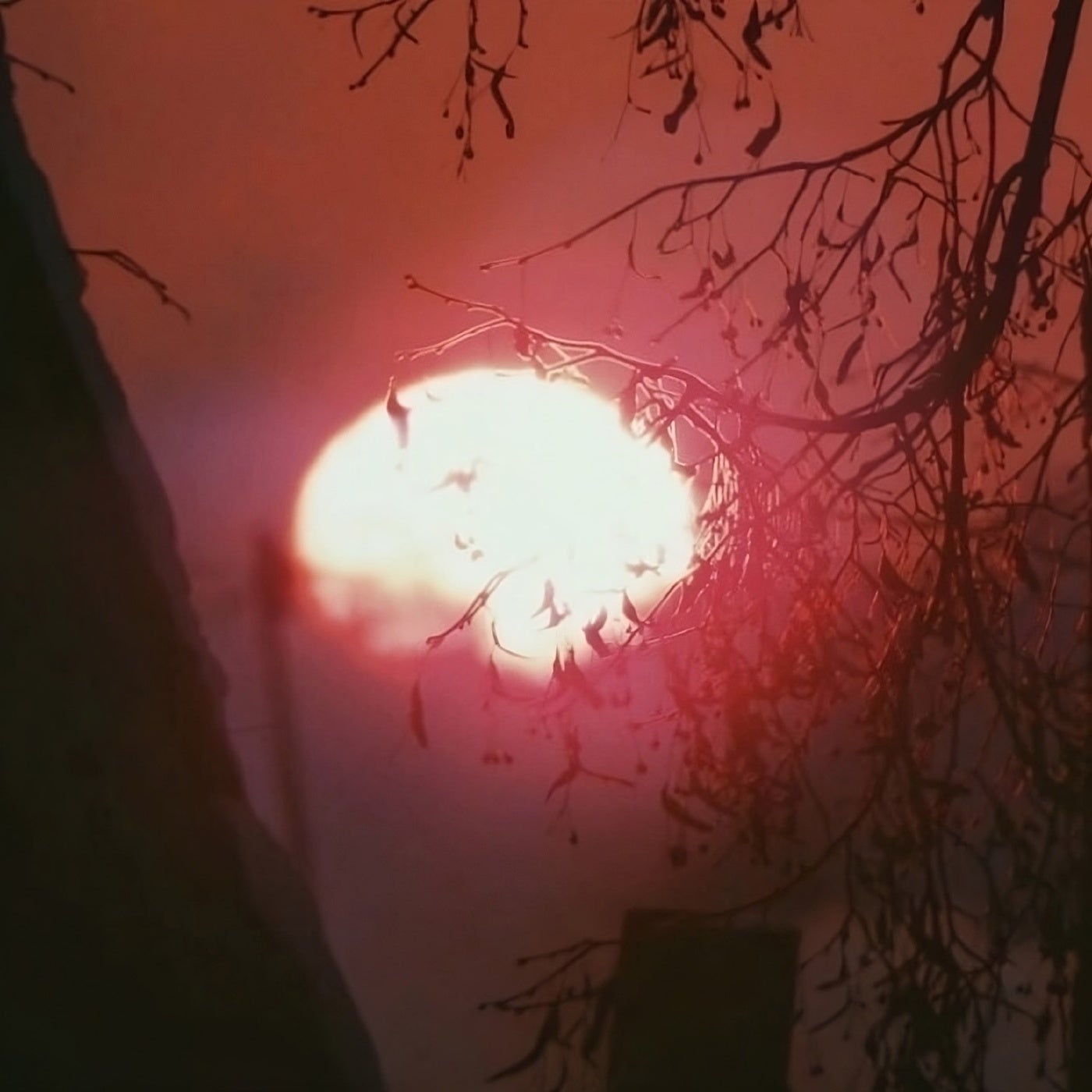 A Killer's Dream