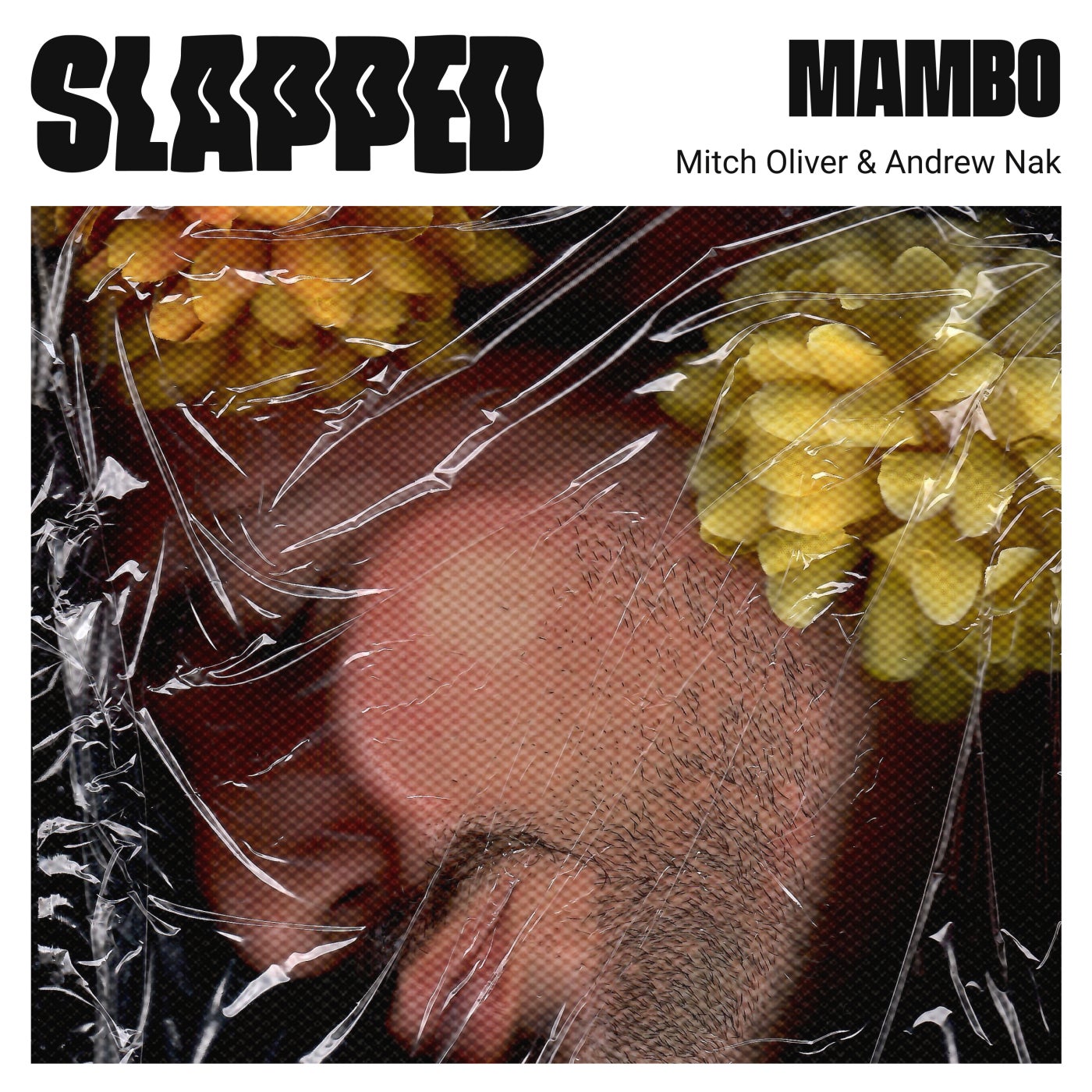 Mambo