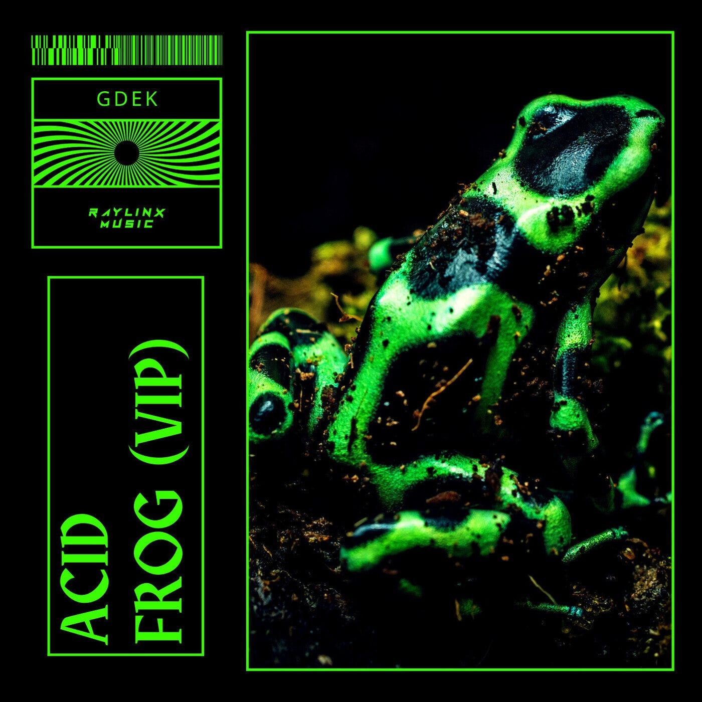 Acid Frog (VIP)