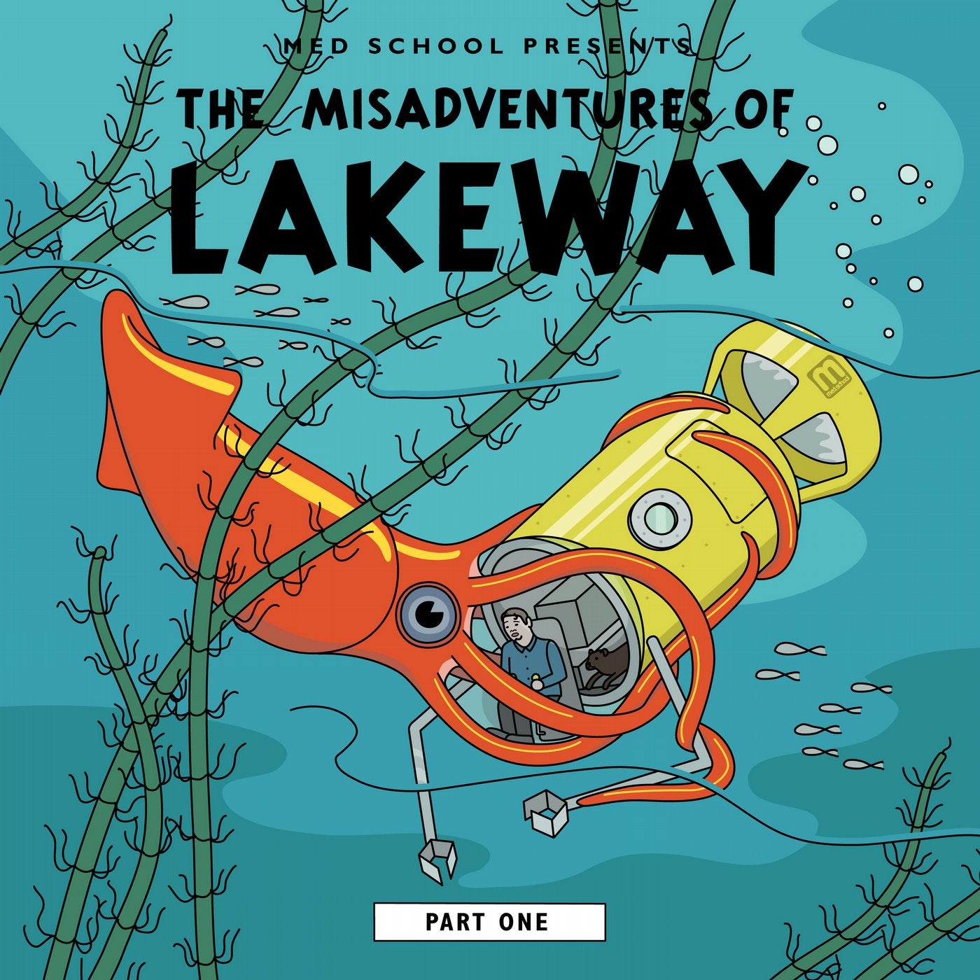 The Misadventures of Lakeway (Part 1)
