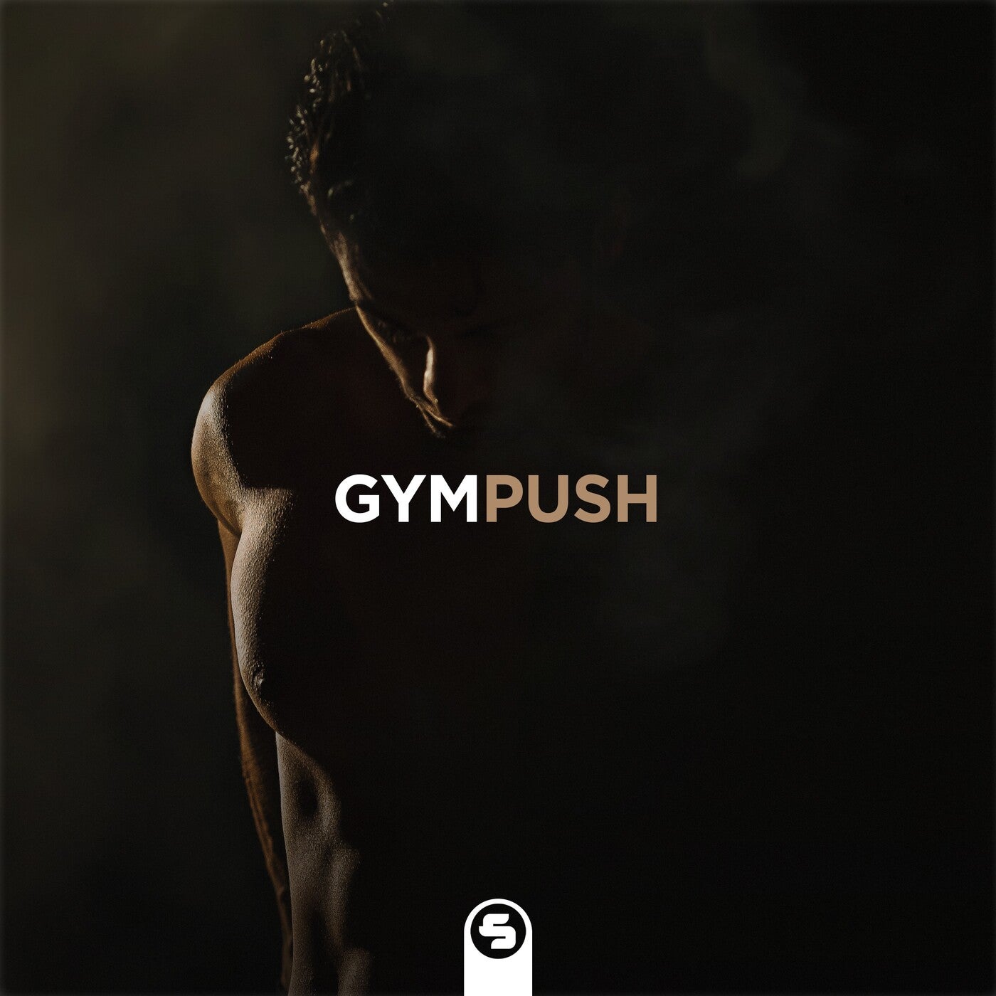 Gympush (Heavy Hits)