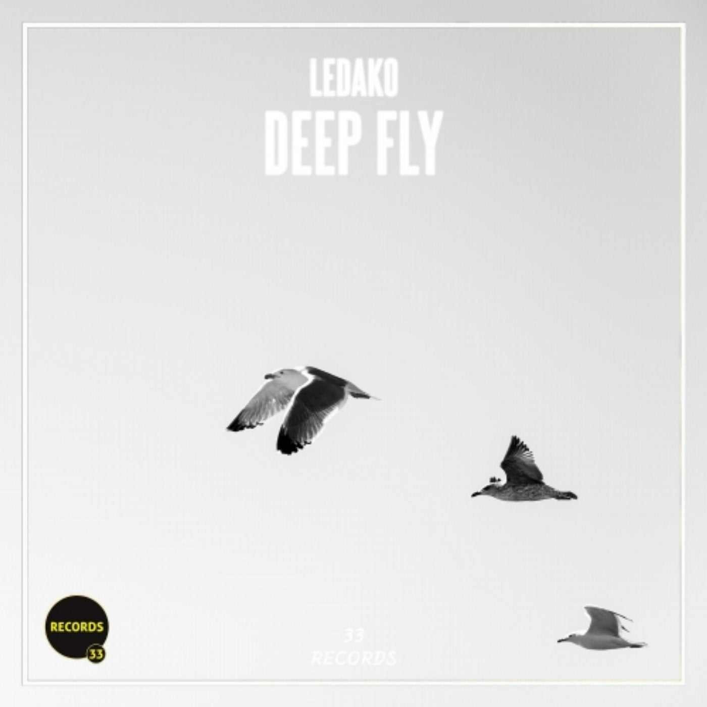 Deep Fly