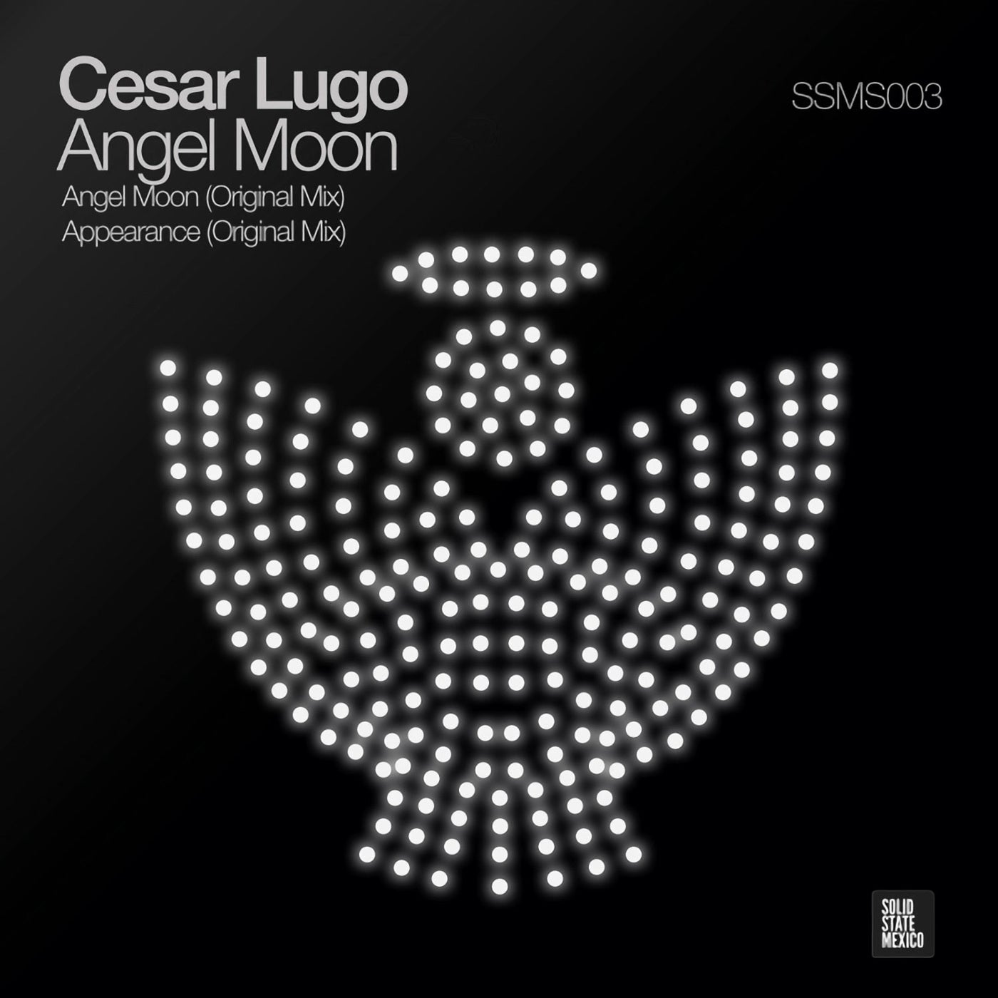 Cover art for Angel Moon