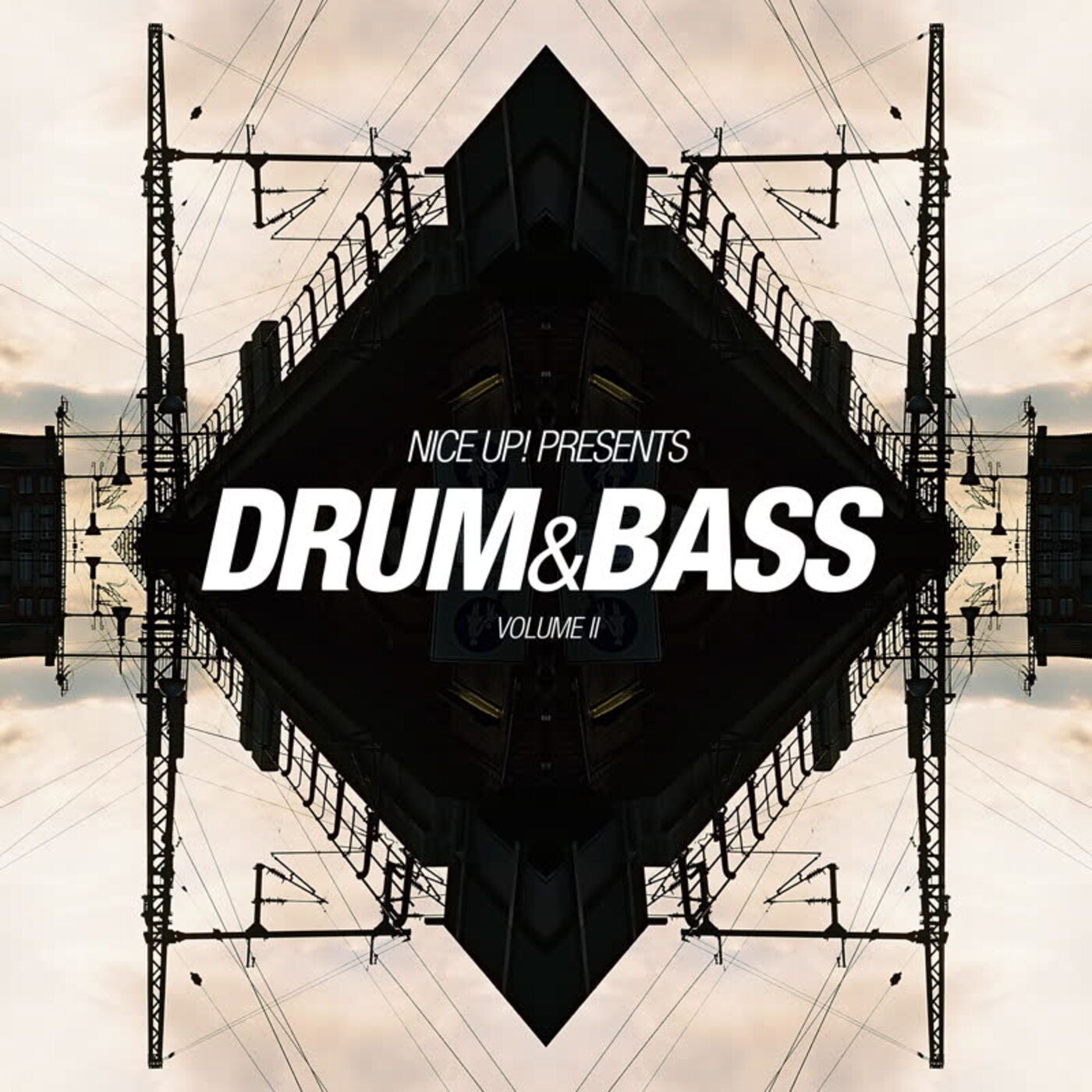 NICE UP! Presents Drum & Bass, Vol. 2