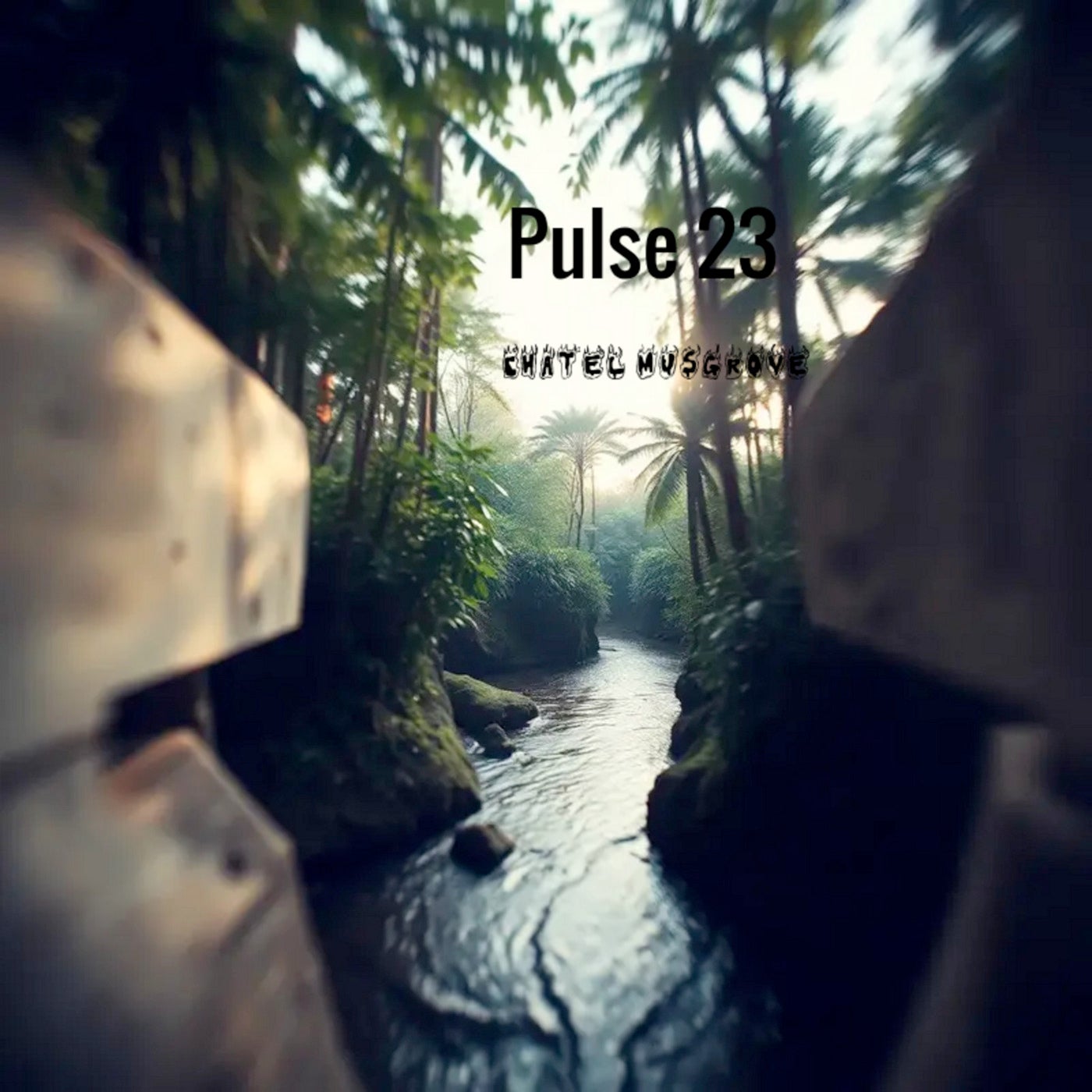 Pulse 23