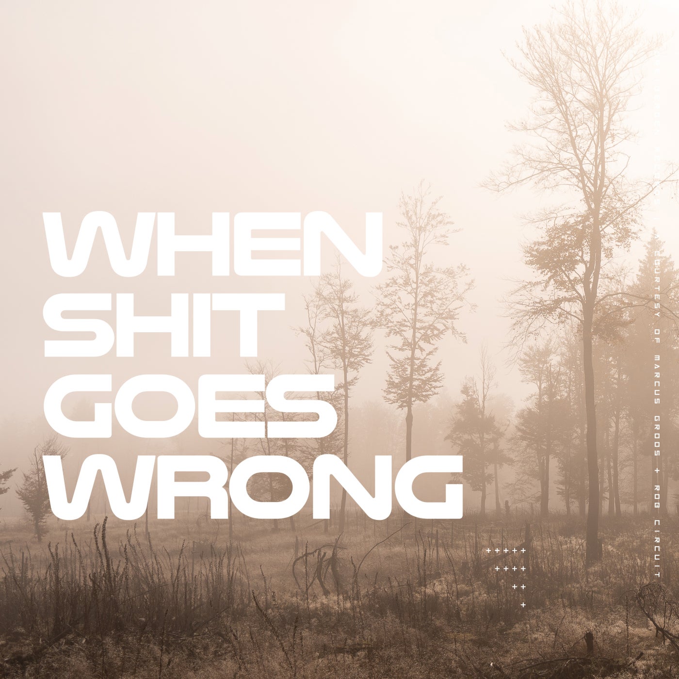 When Shit Goes Wrong