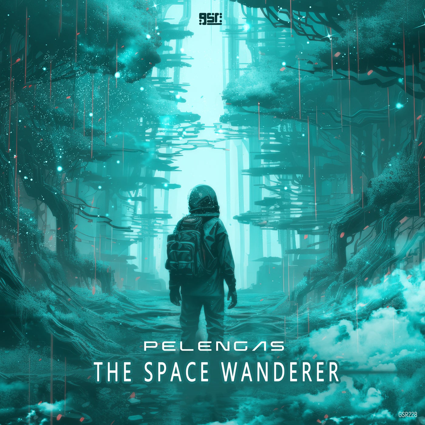 The Space Wanderer