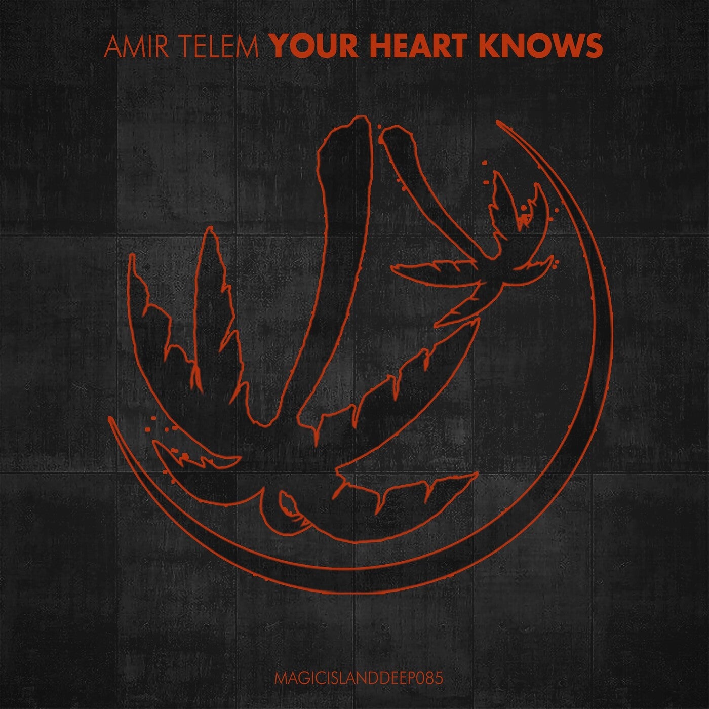 Your Heart Knows