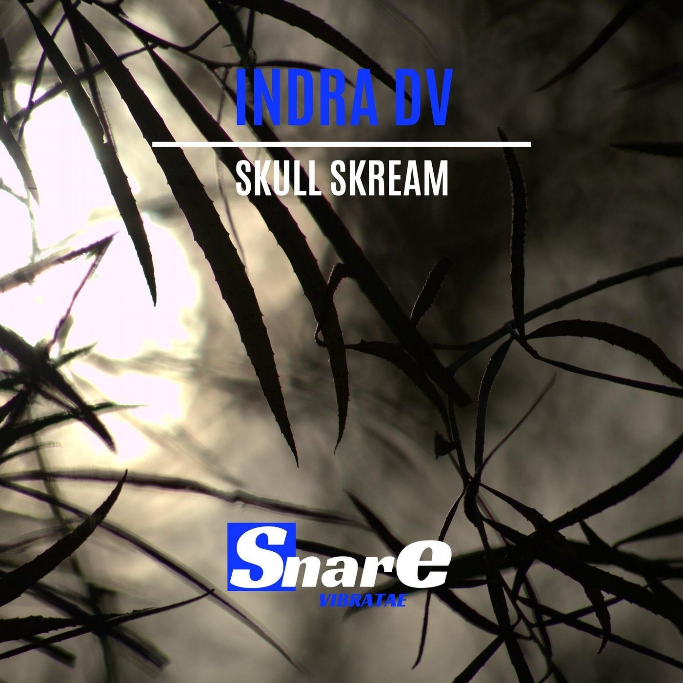 Skull Skream