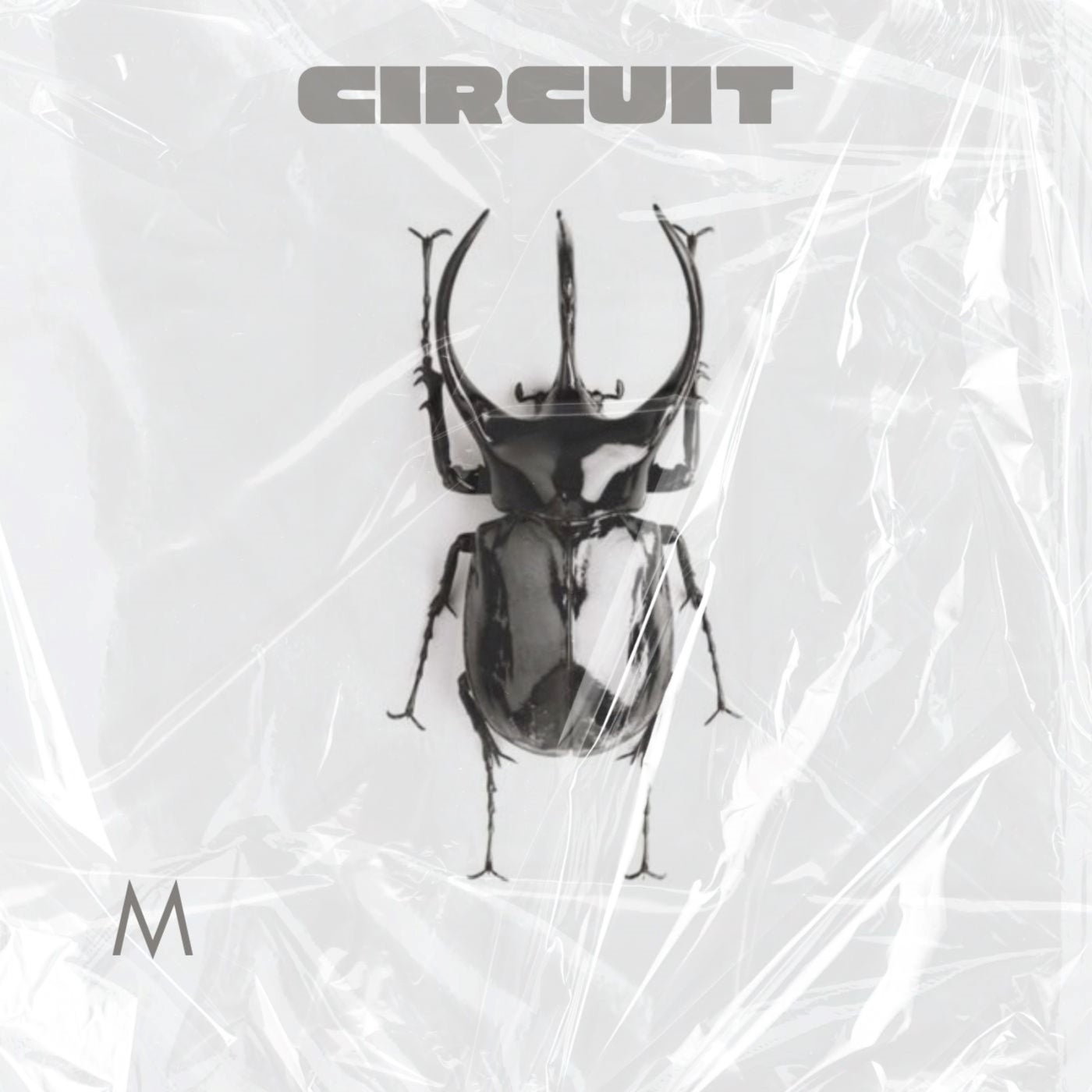 Circuit