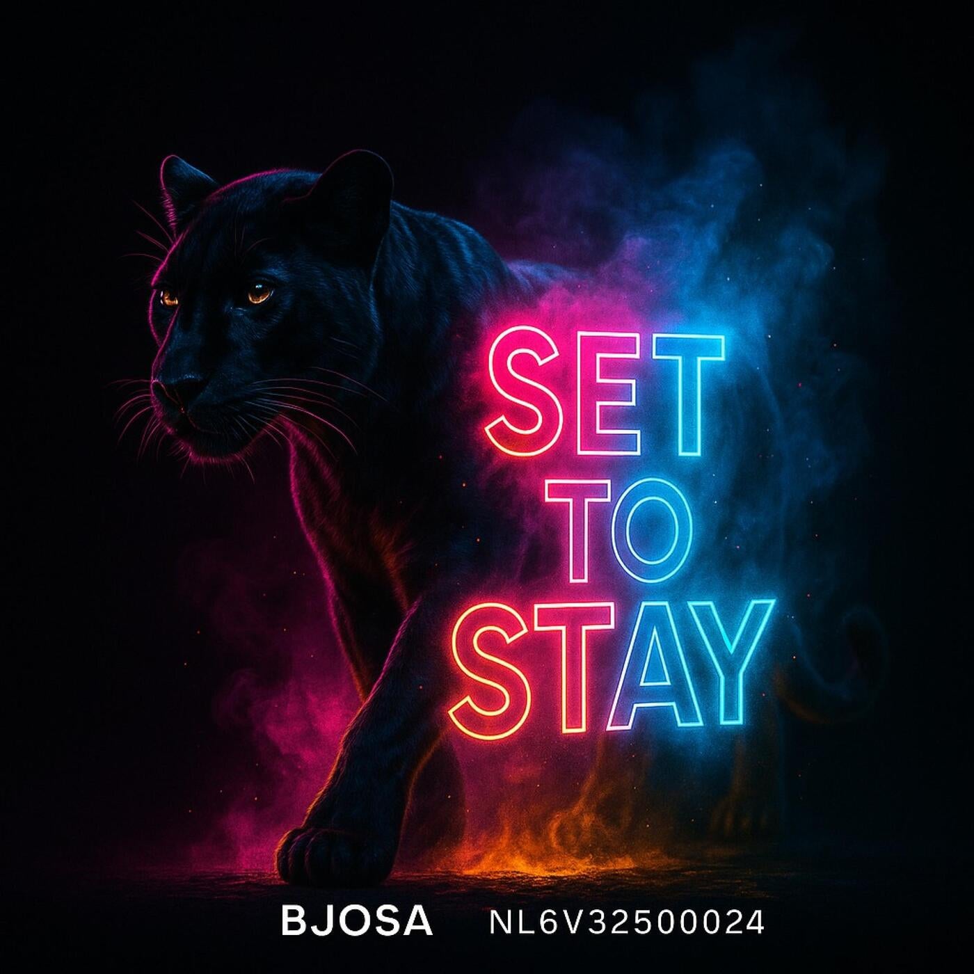 SET TO STAY