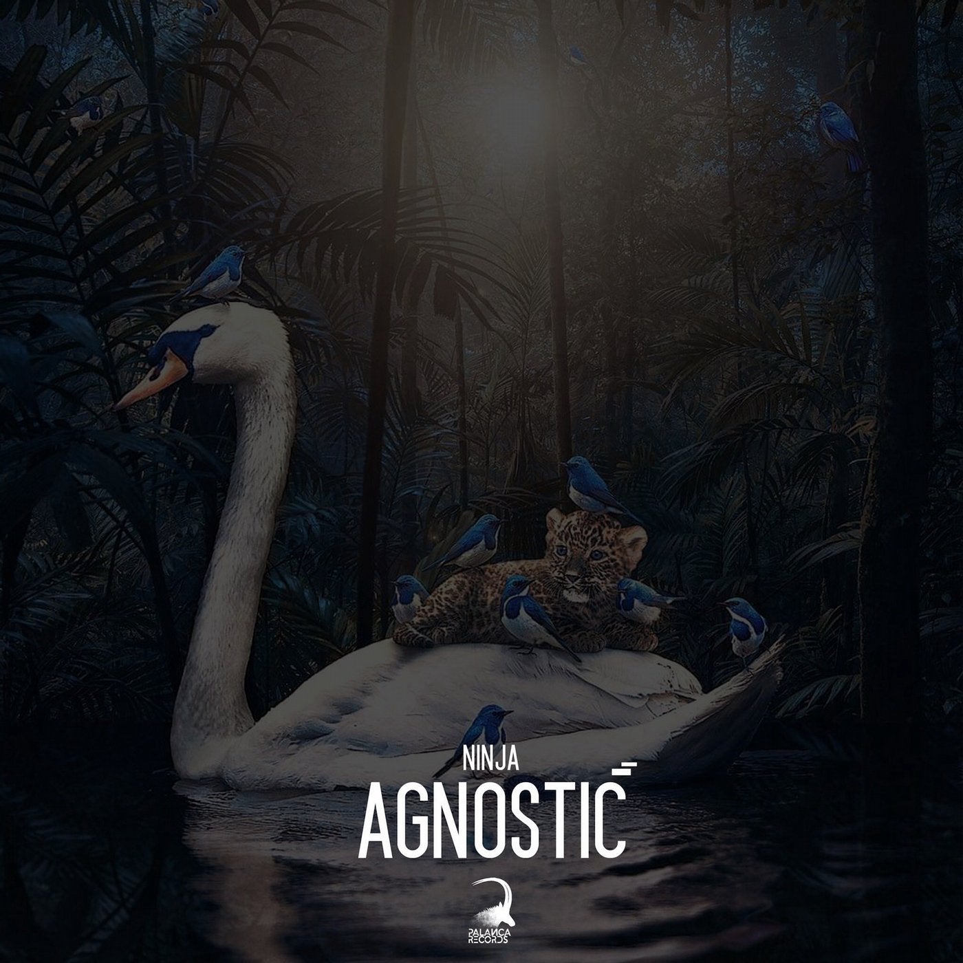 Agnostic