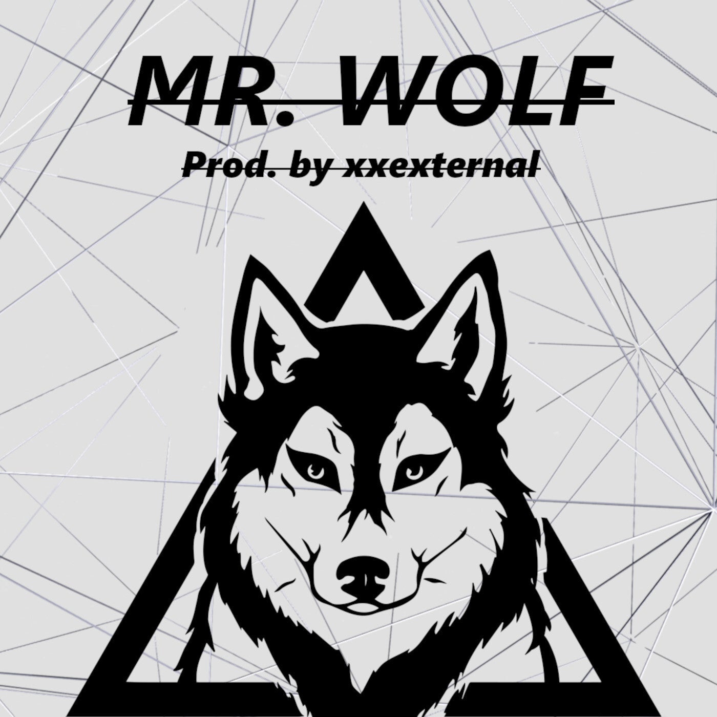 Mr. Wolf