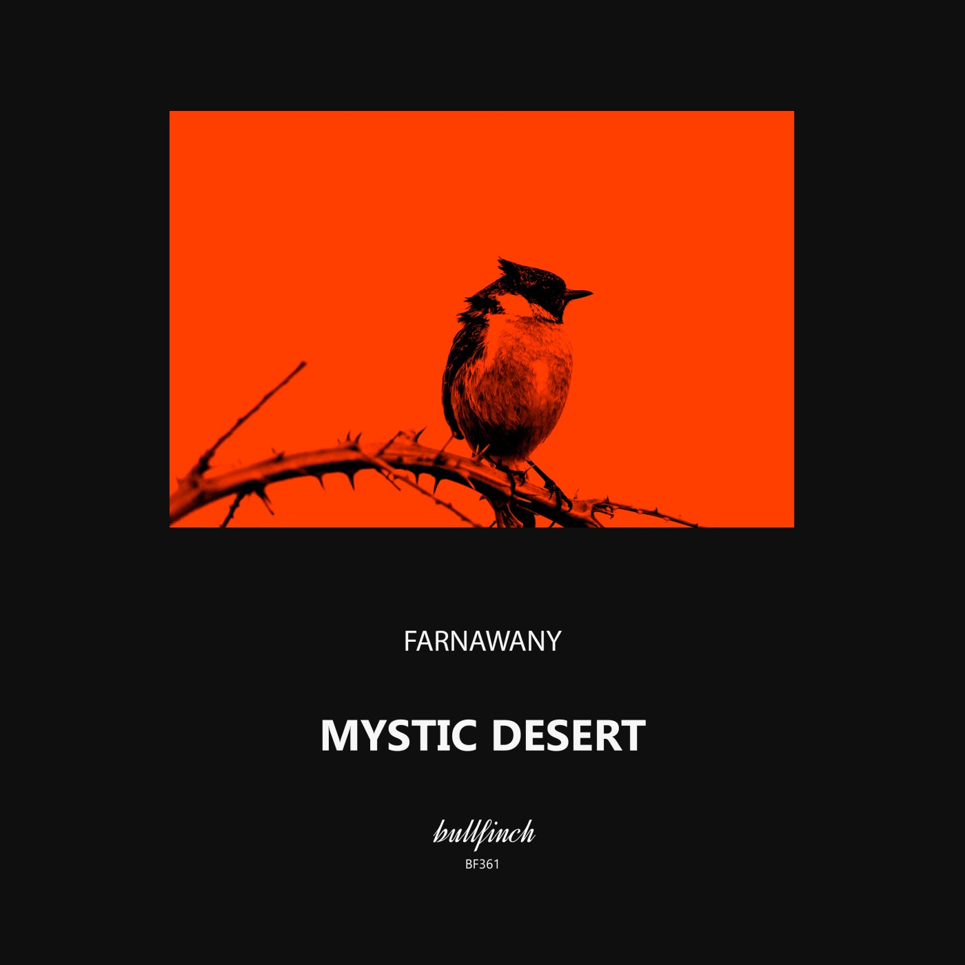 Mystic Desert