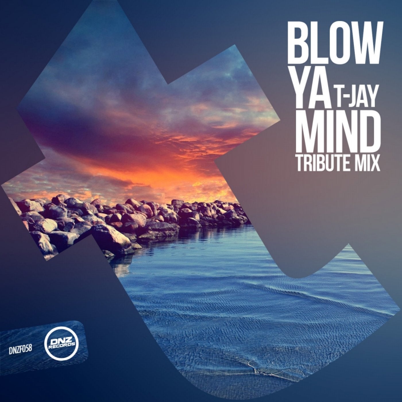 Blow Ya Mind (Tribute Mix)