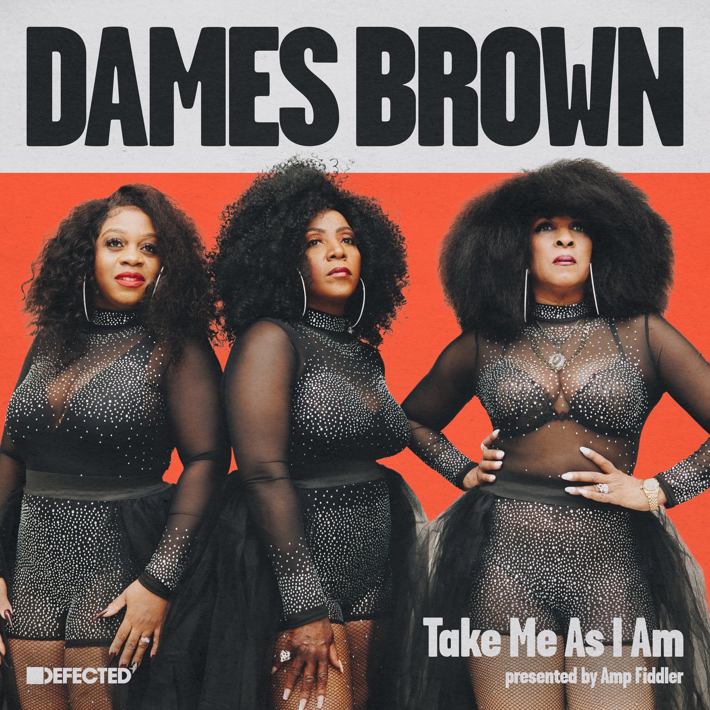 Take Me As I Am - Extended Mixes