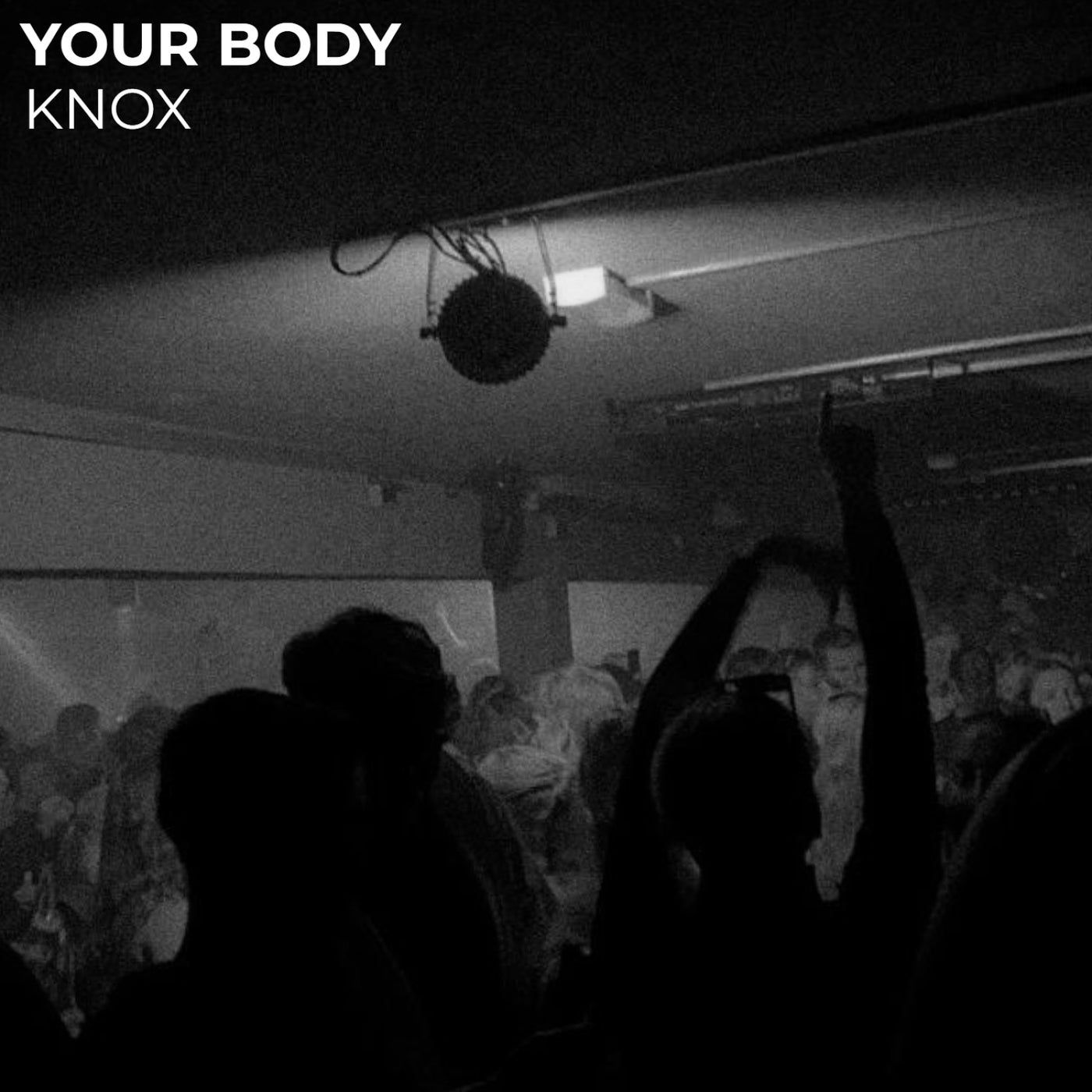 Your Body