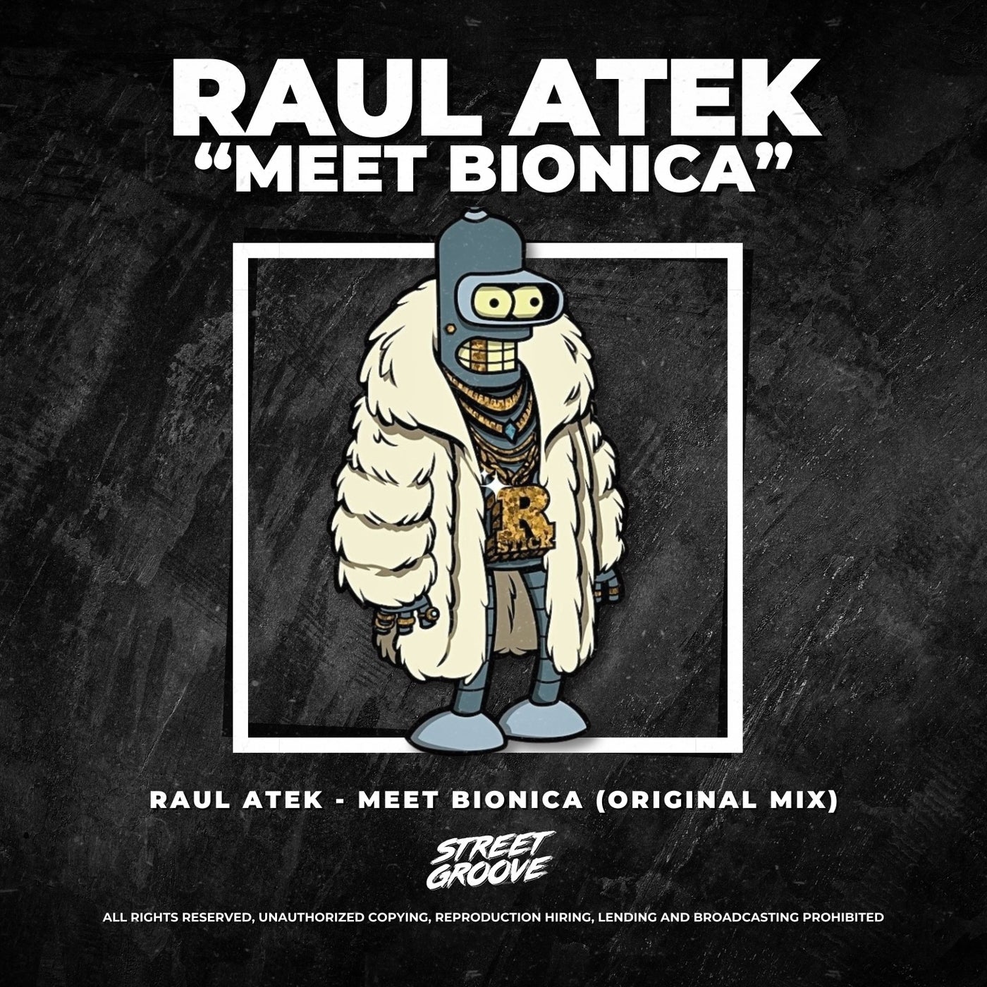 Meet Bionica