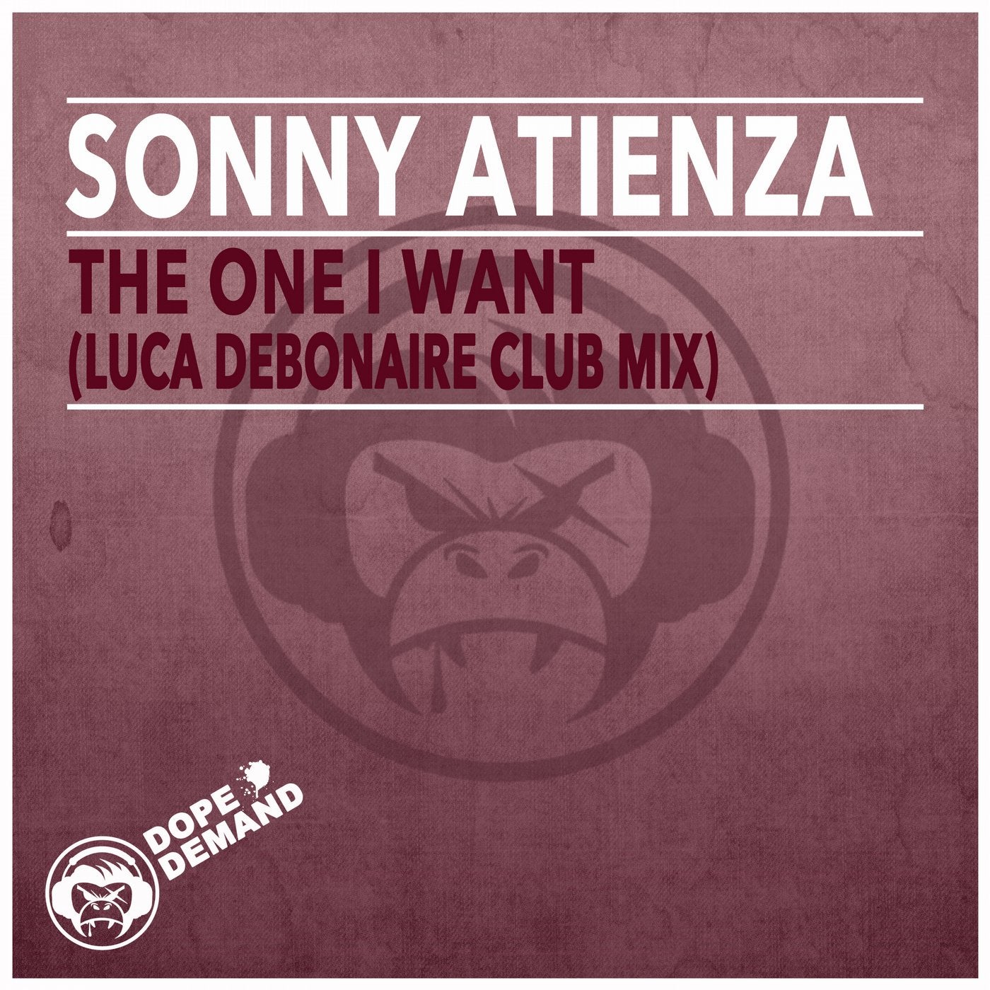 The One I Want (Luca Debonaire Club Mix)