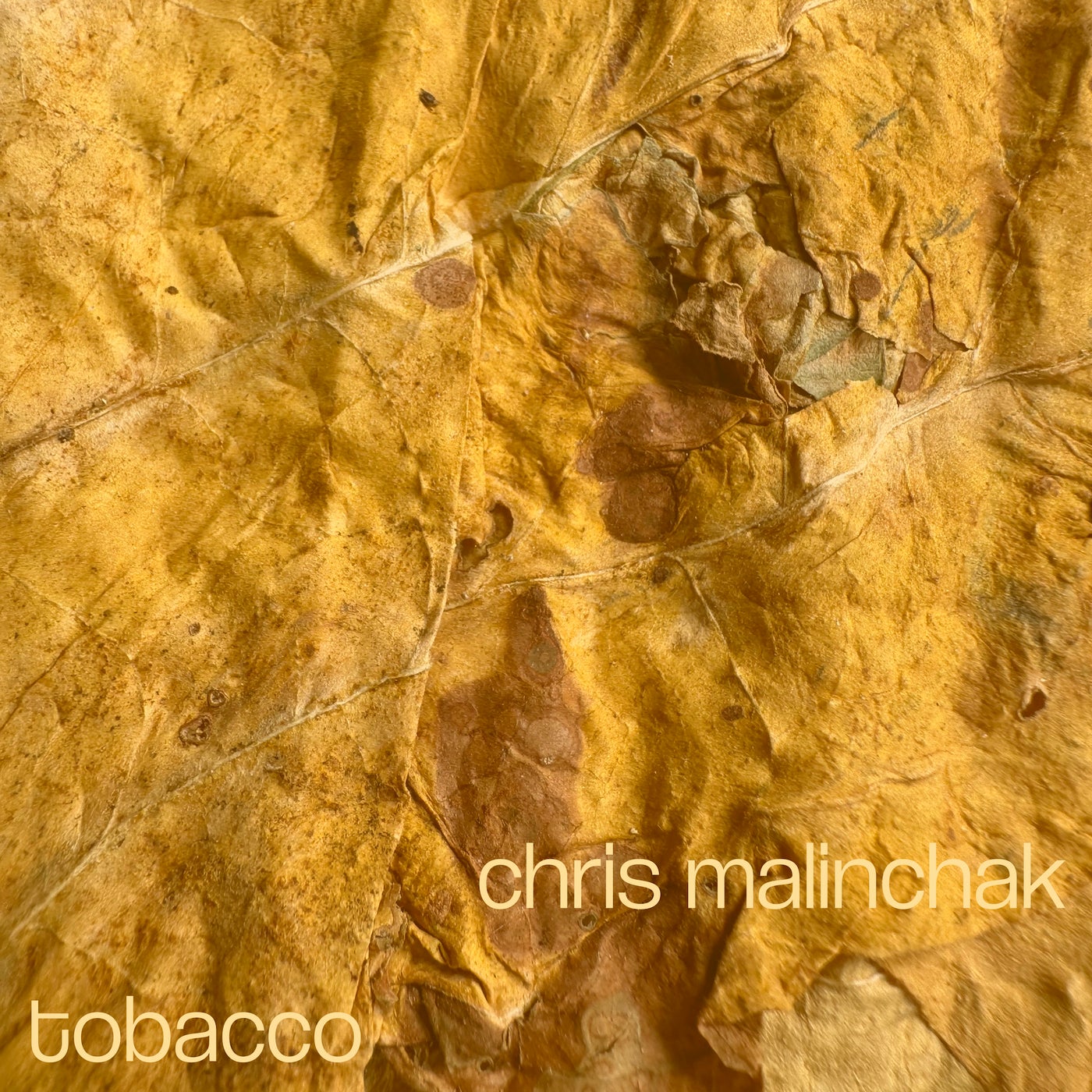 Tobacco/It’s Gone