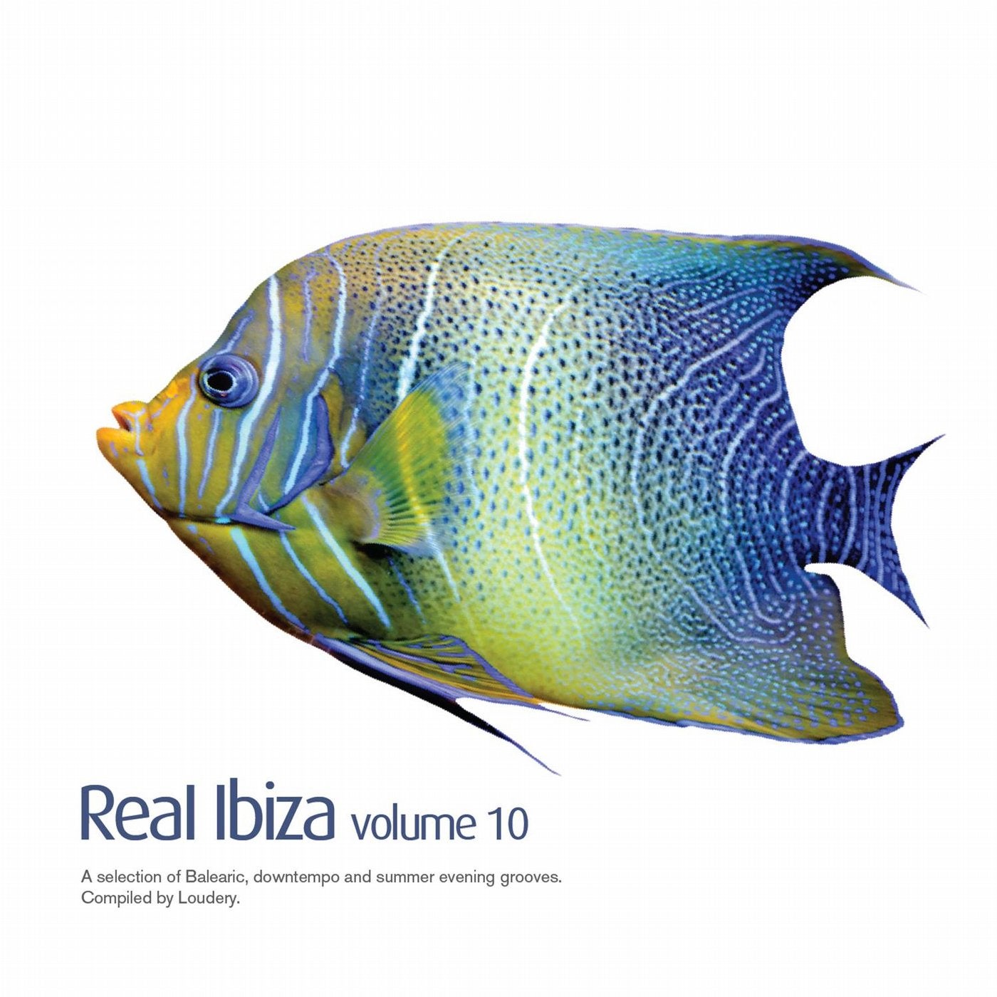 Real Ibiza vol 10