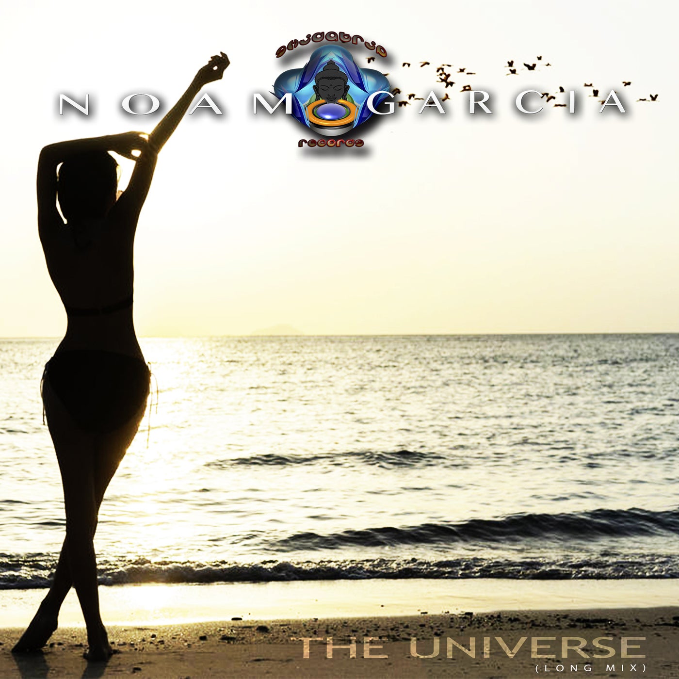 The Universe