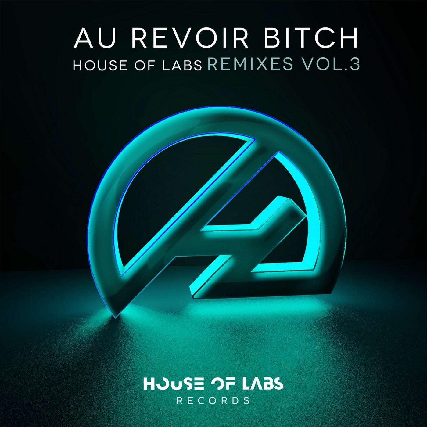 Au Revoir Bitch (Remixes Vol. 3)