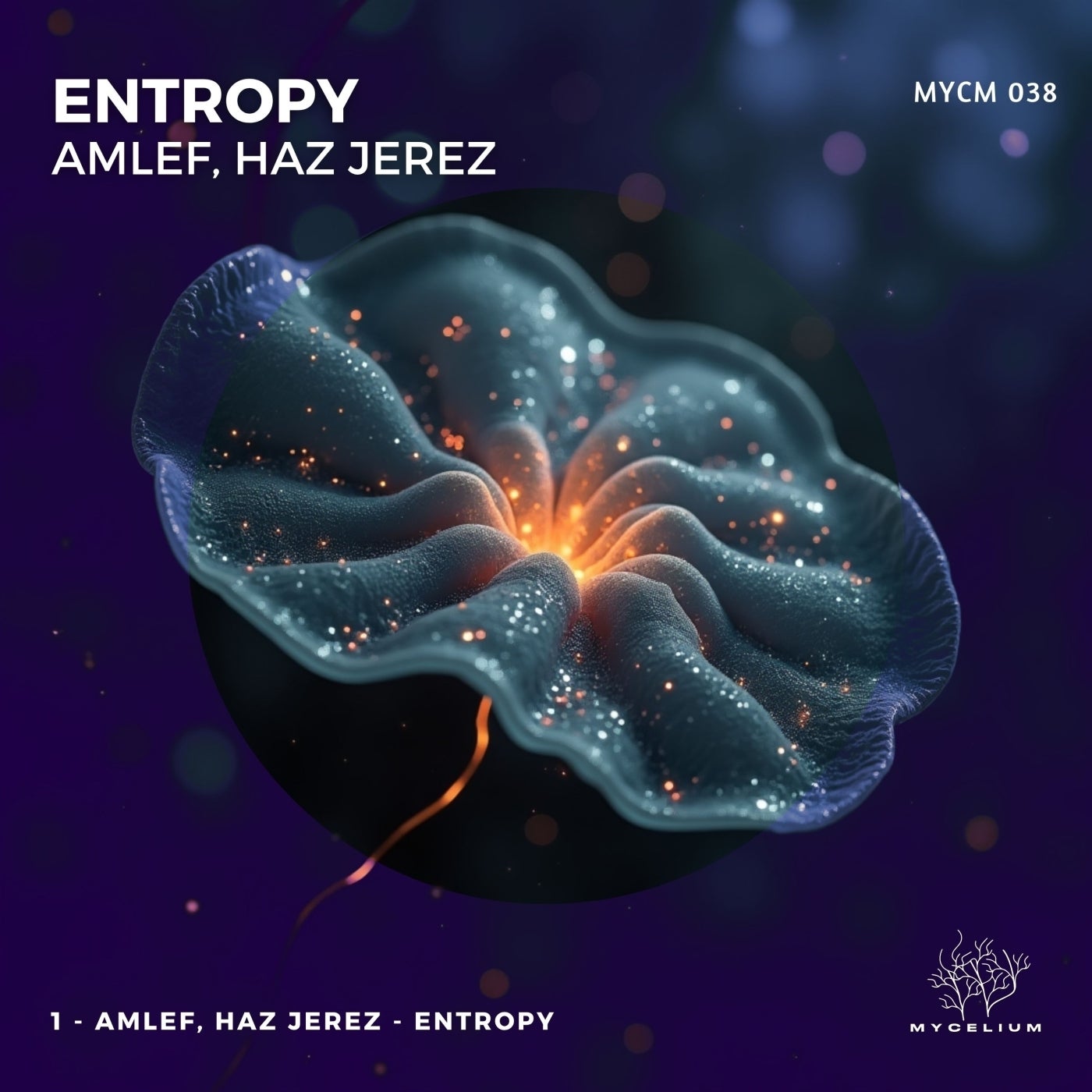 Entropy