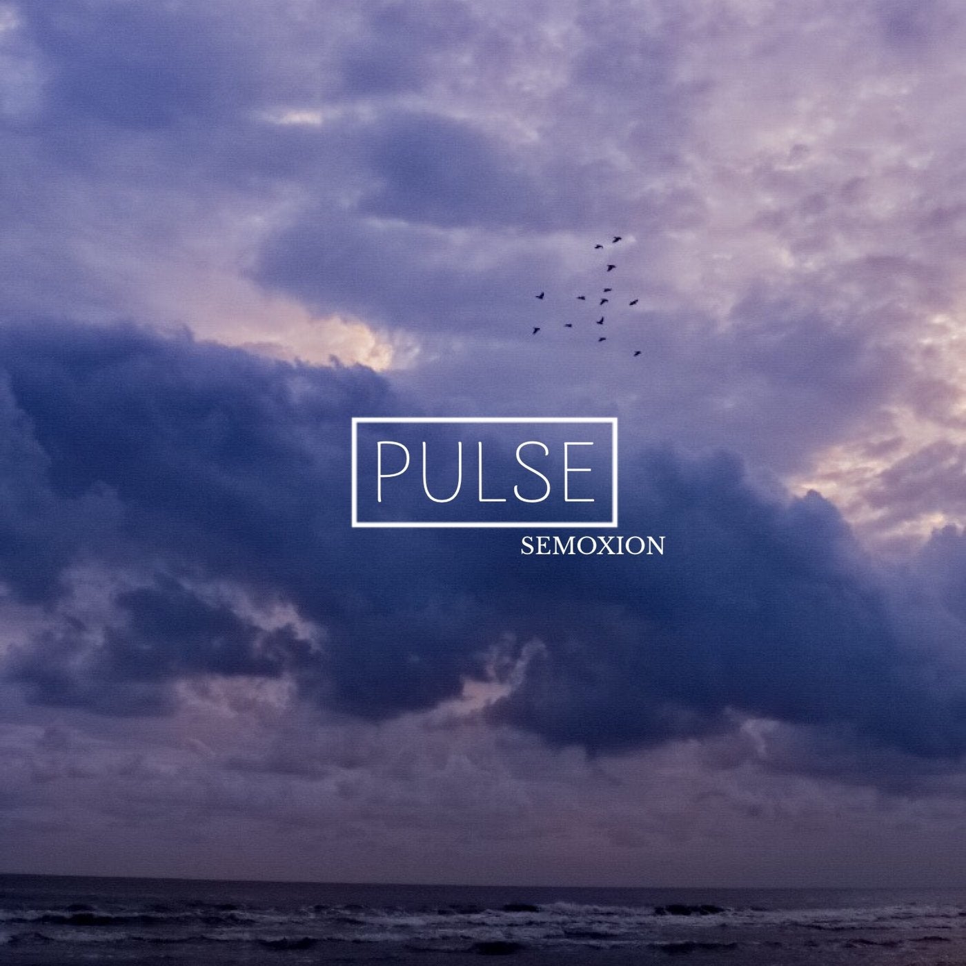 Pulse