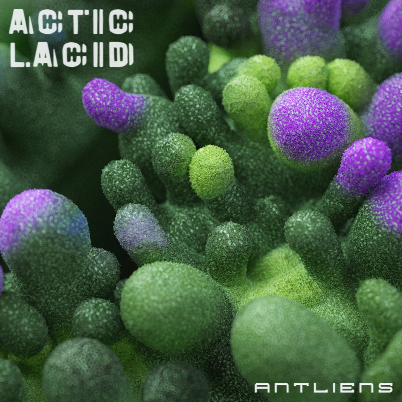 Antliens