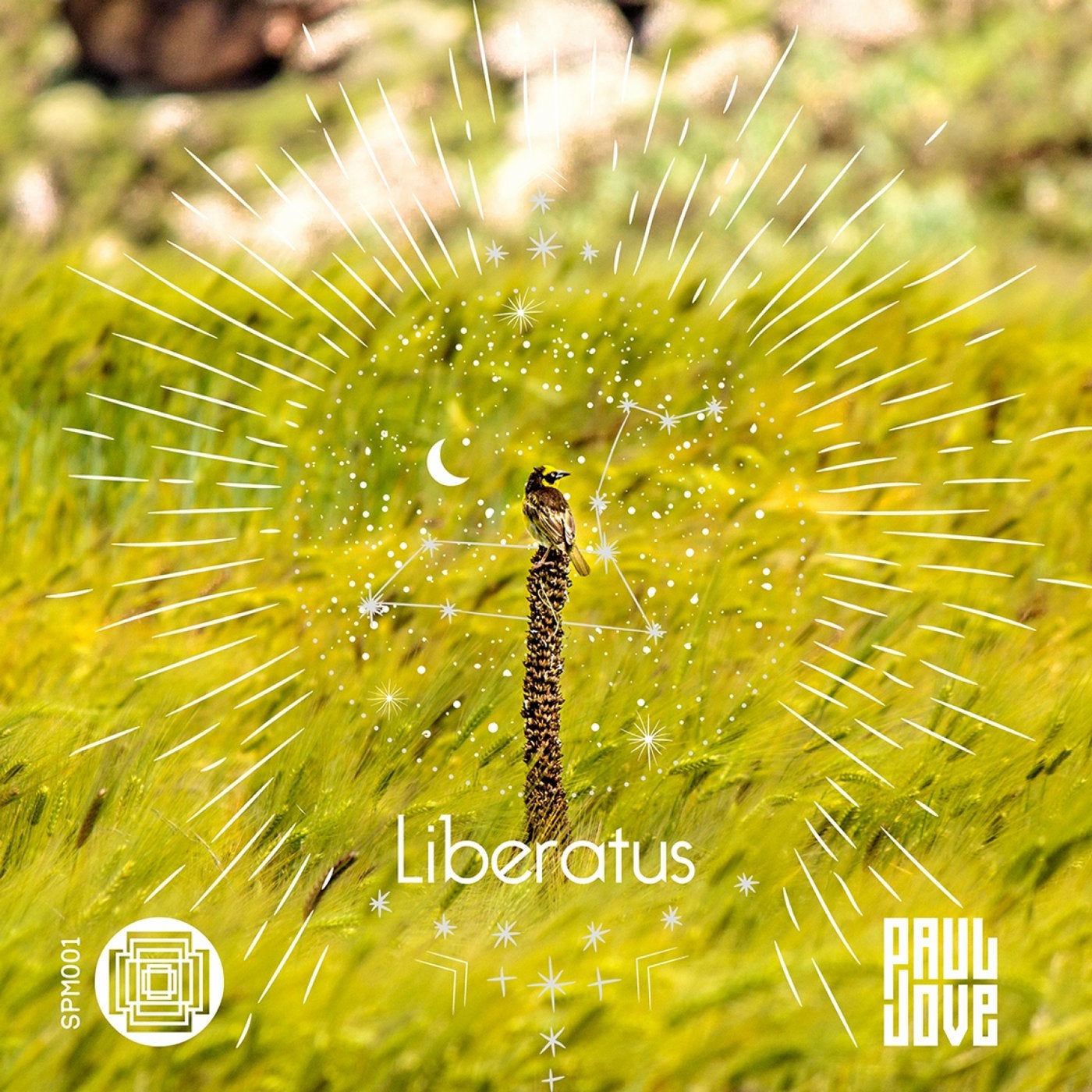 Liberatus