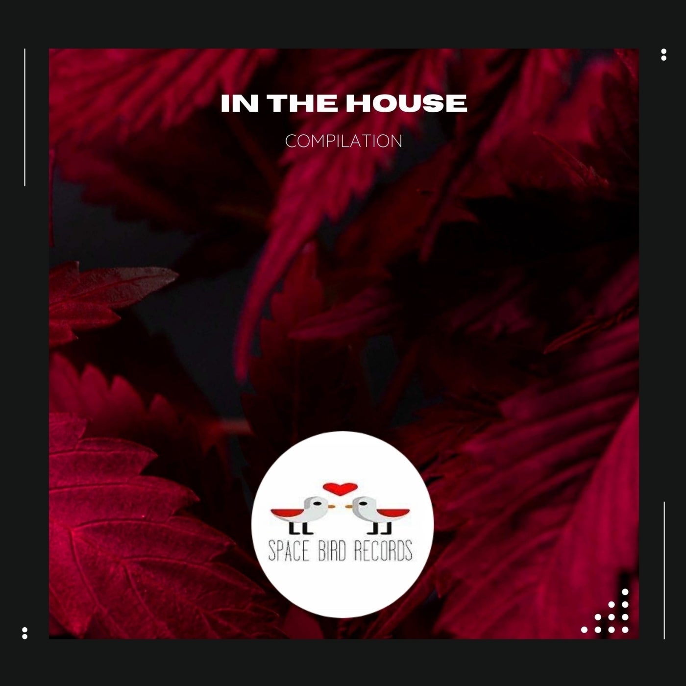 In the House
