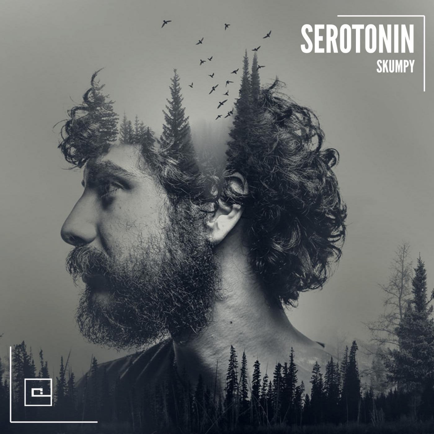 Serotonin