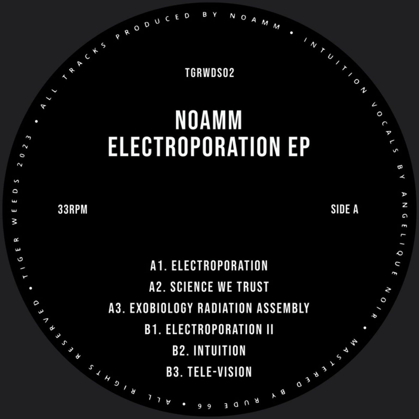 Electroporation EP