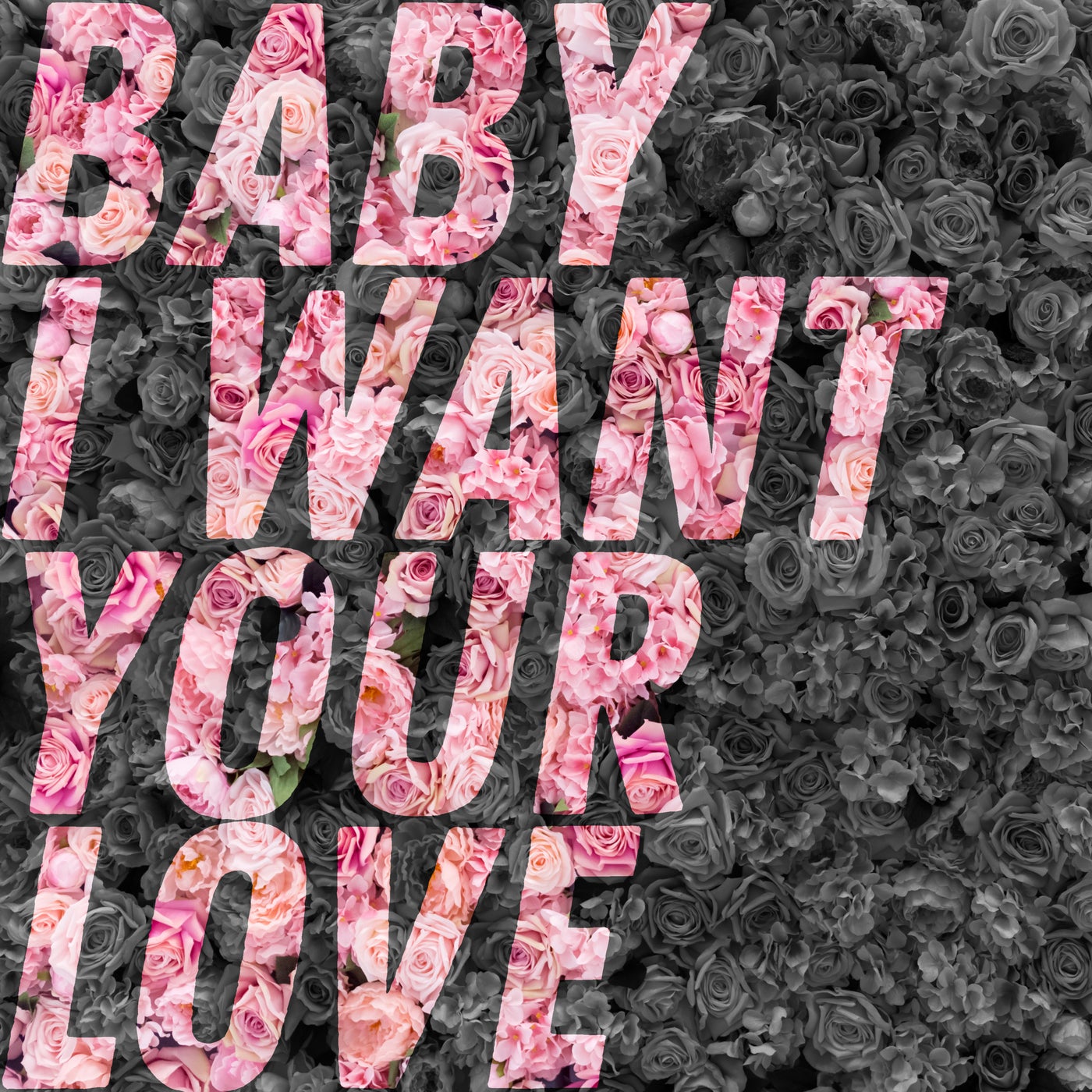 Baby I Want Your Love