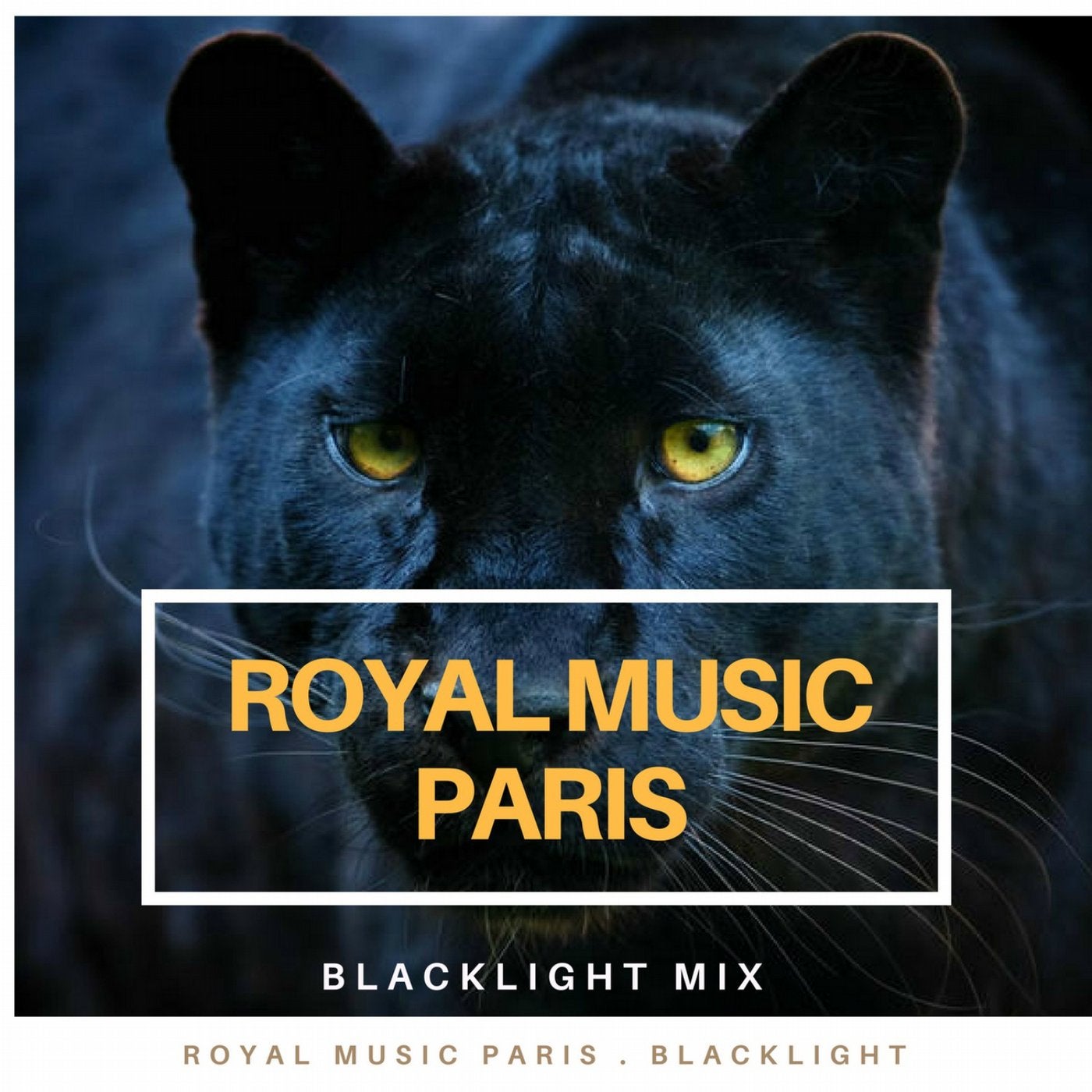 Blacklight Mix
