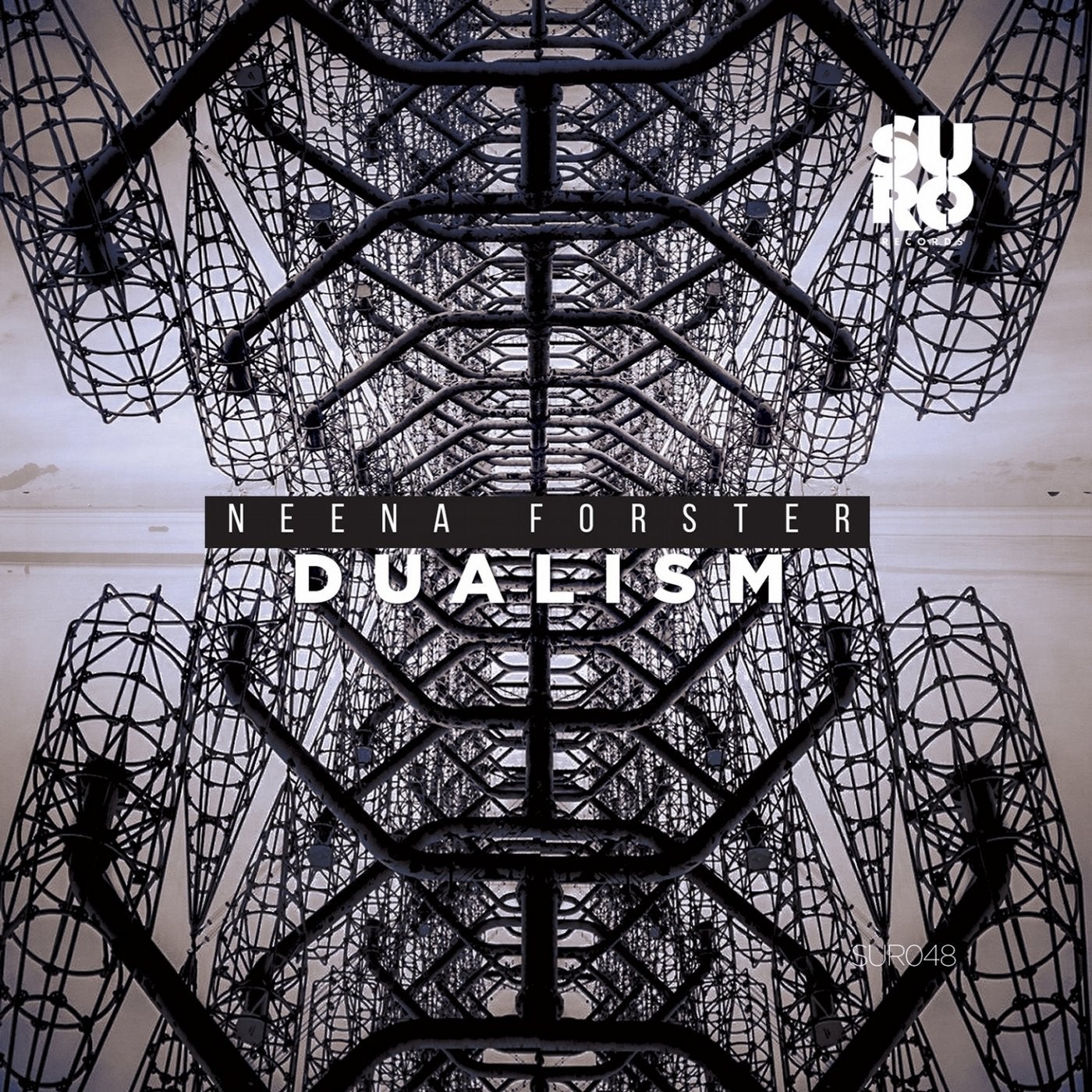 Dualism