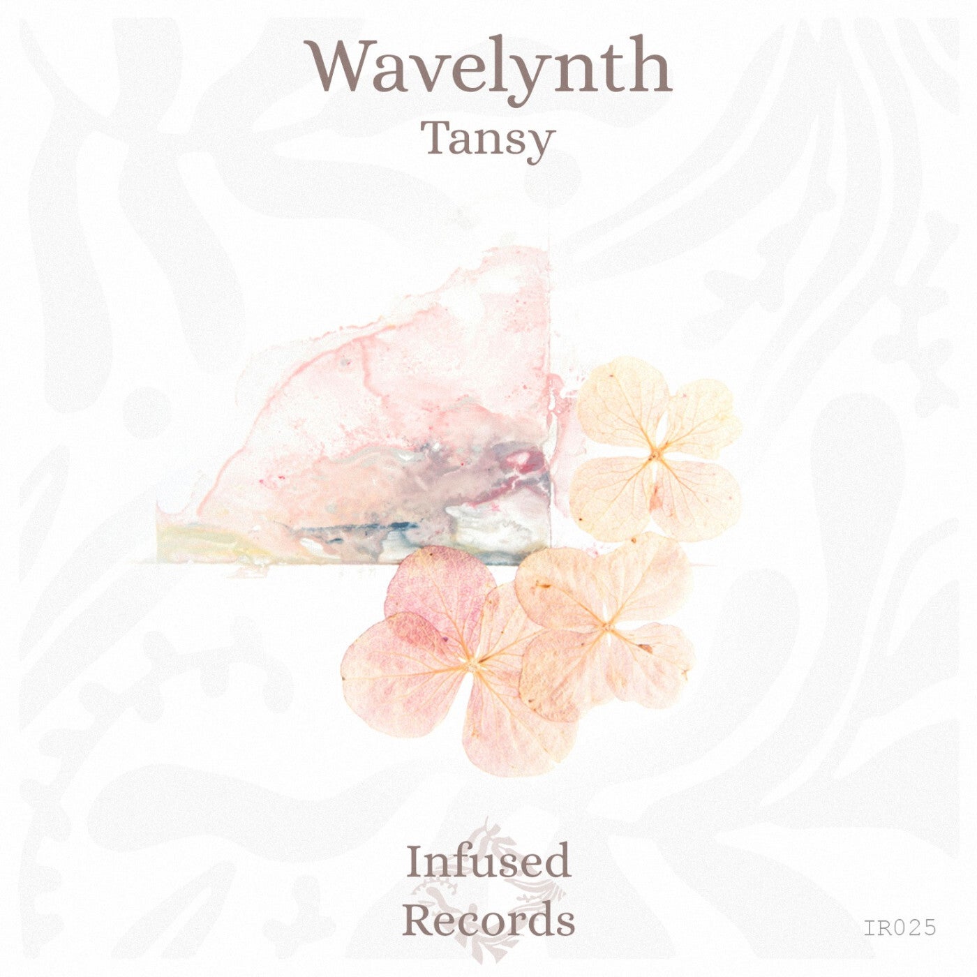 Tansy