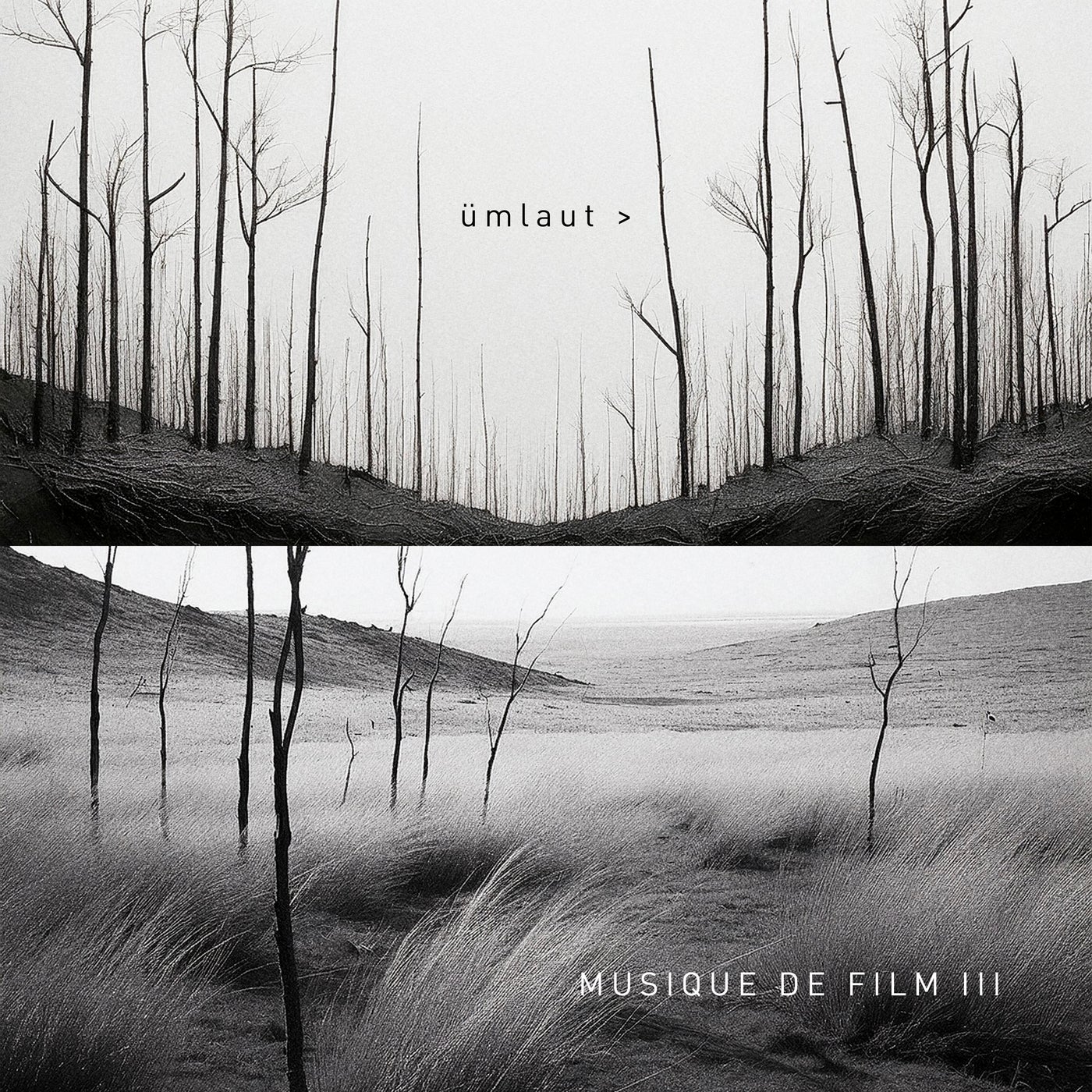 Cover art for Musique de Film III