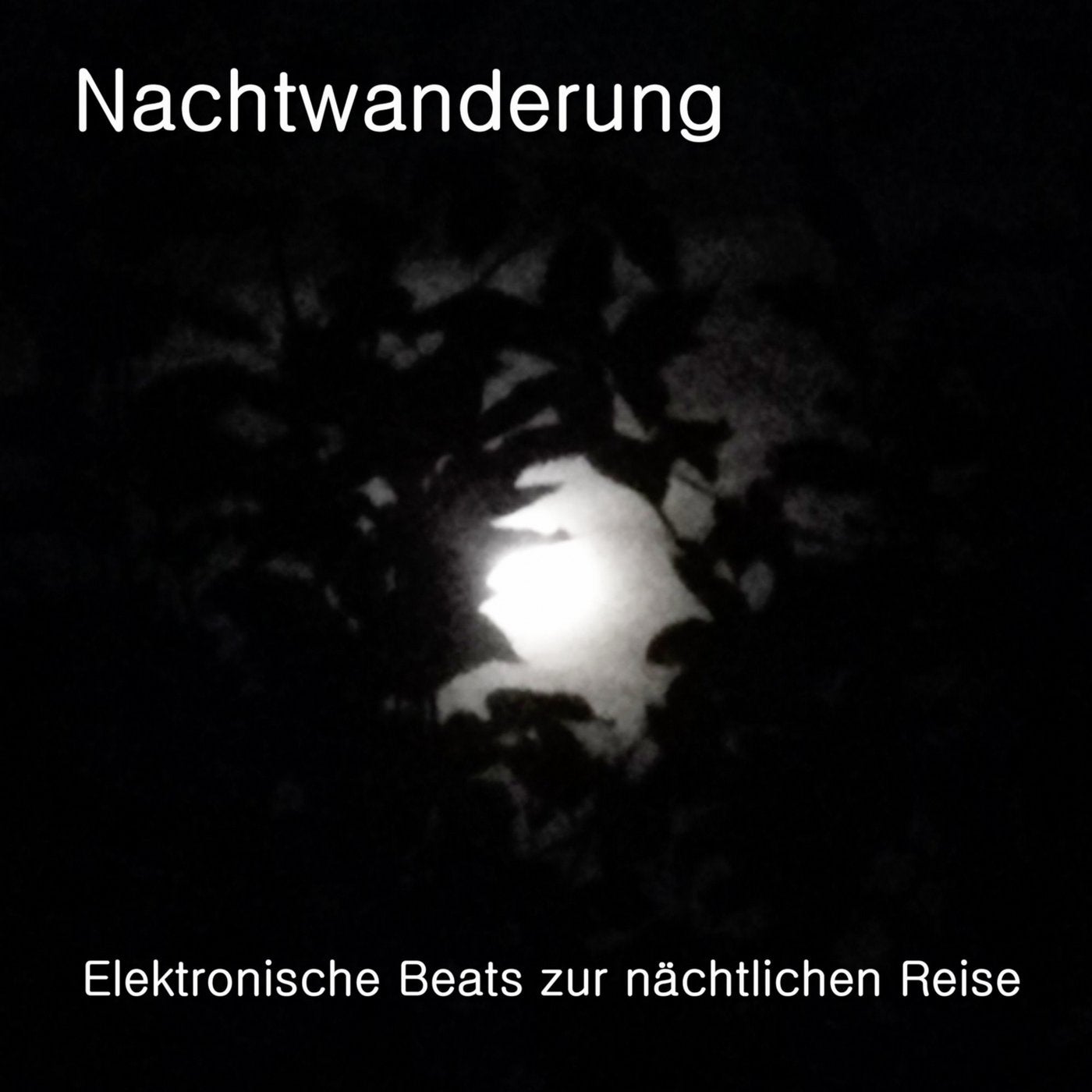 Nachtwanderung (Elektronische Beats zur nachtlichen Reise)