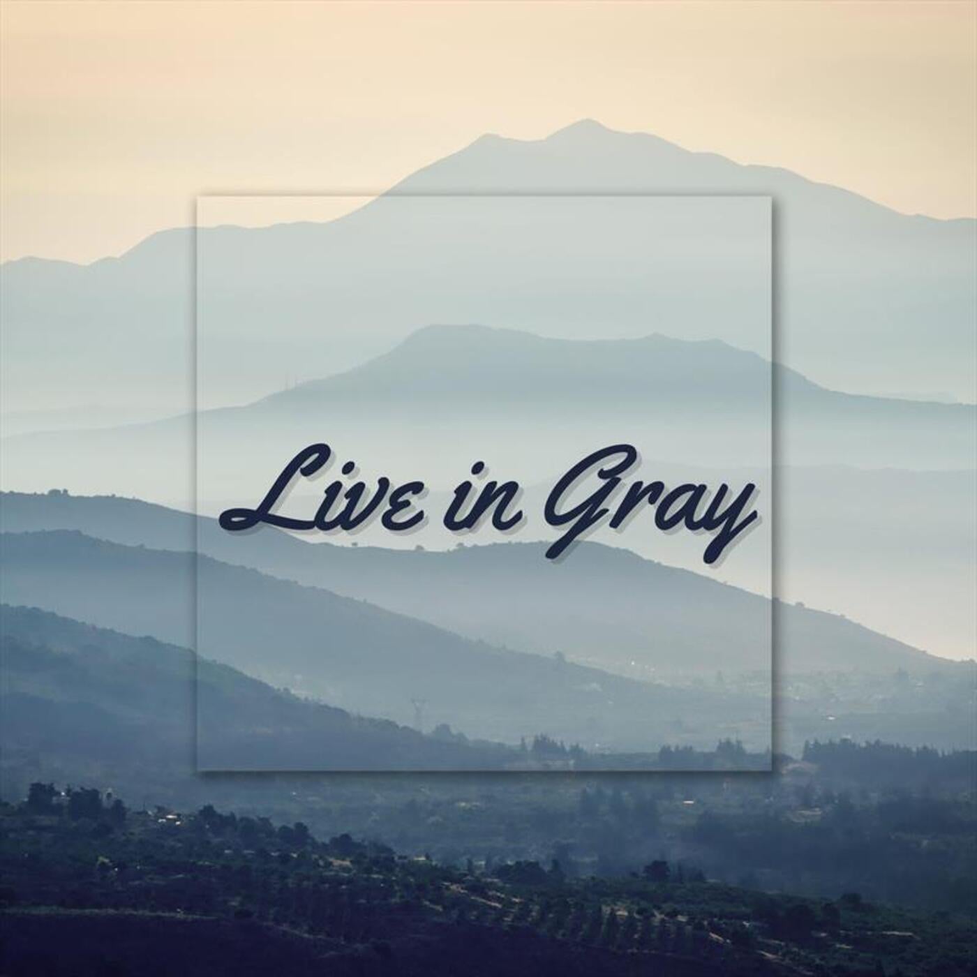 Live in Gray