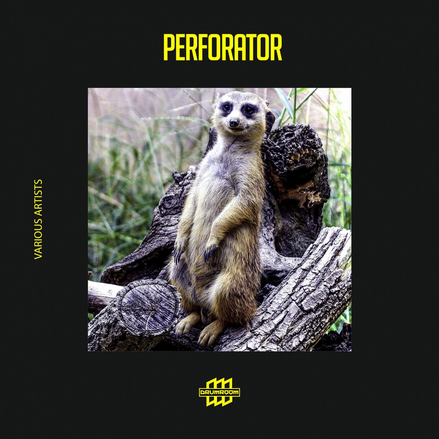 Perforator