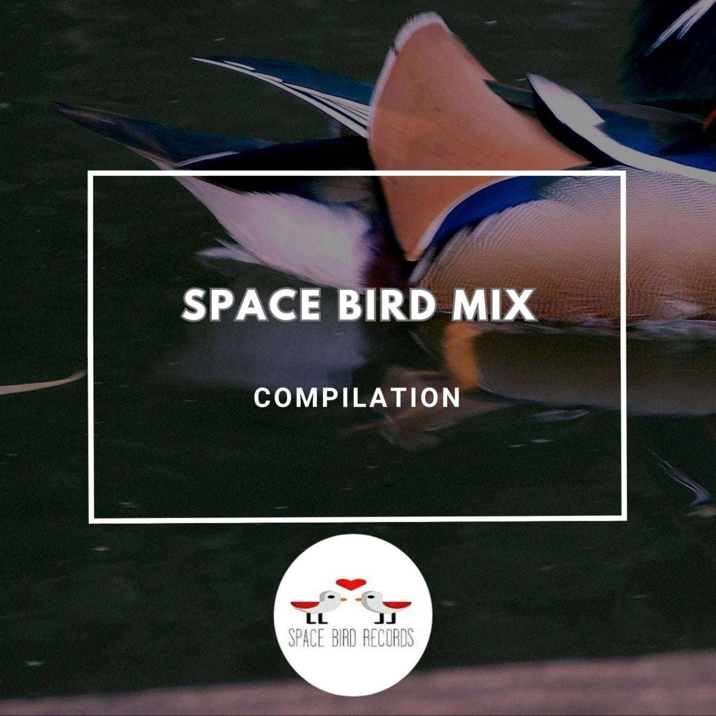 Space Bird Mix