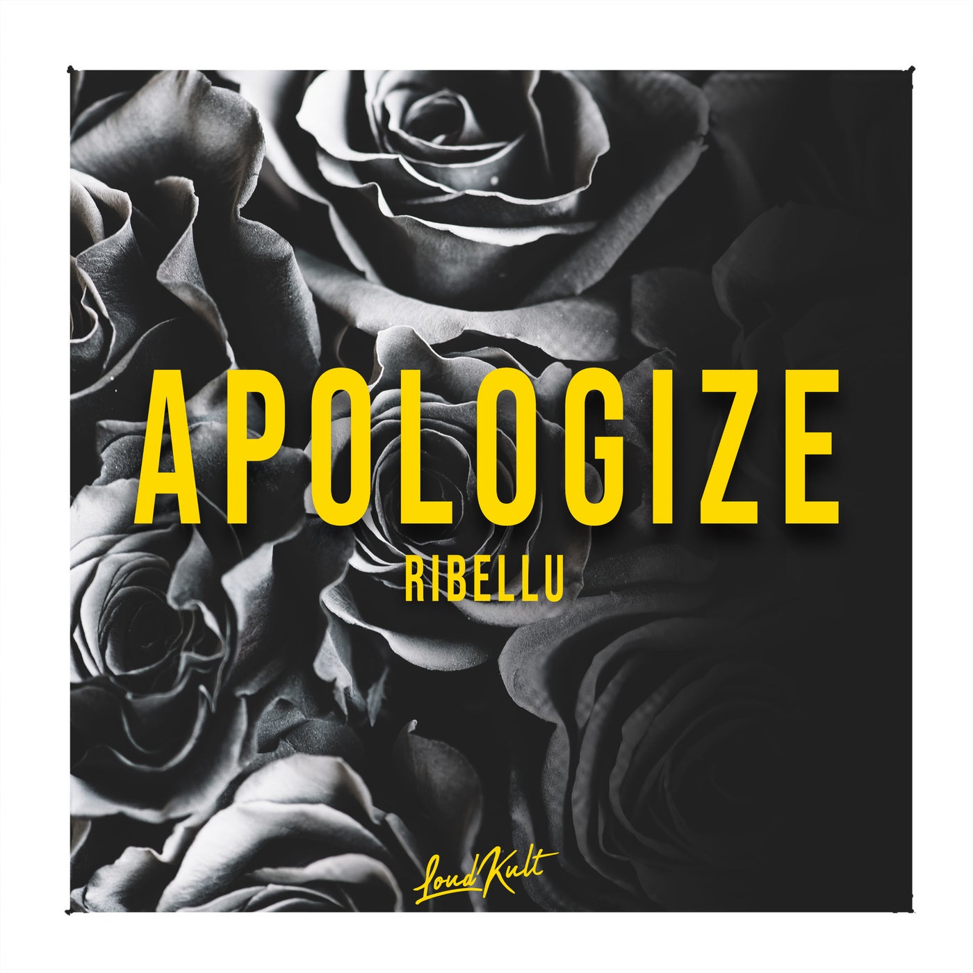 Apologize