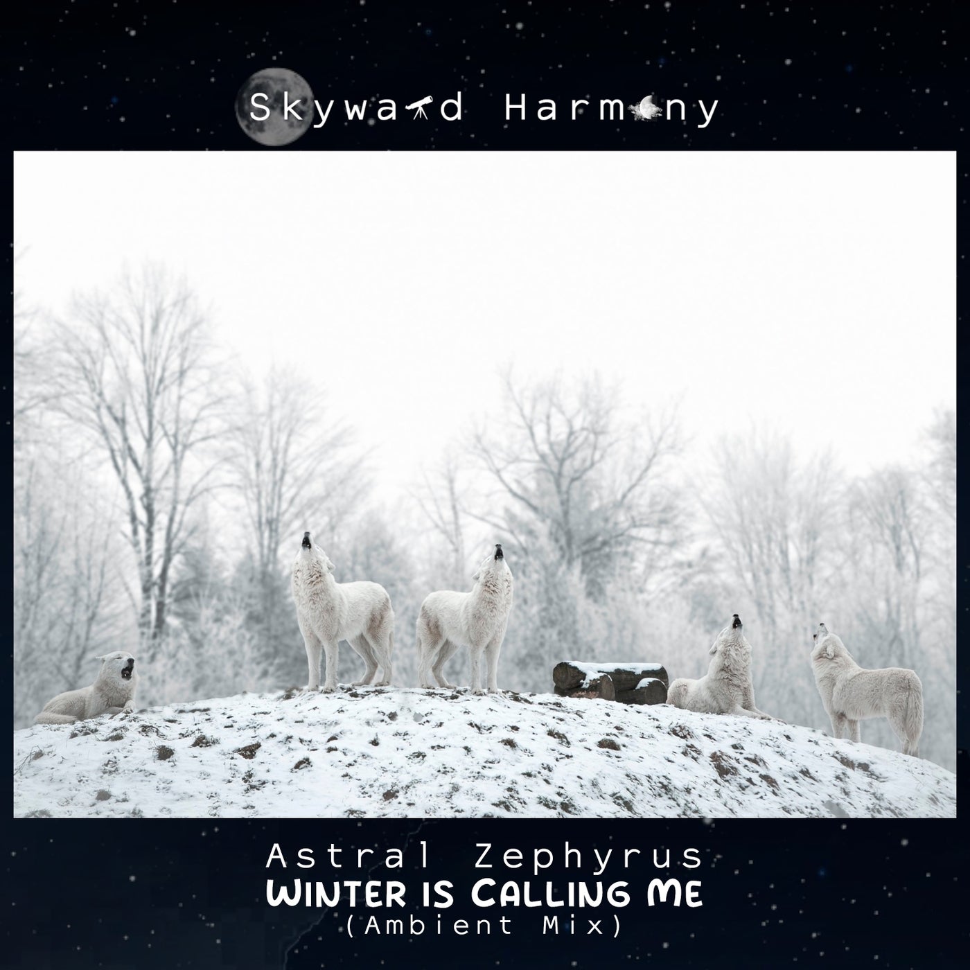 Winter Is Calling Me (Ambient Mix)