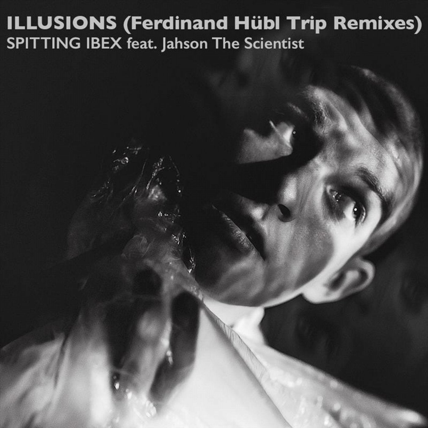 Illusions (Ferdinand Hübl Trip Remixes) (feat. Jahson The Scientist)