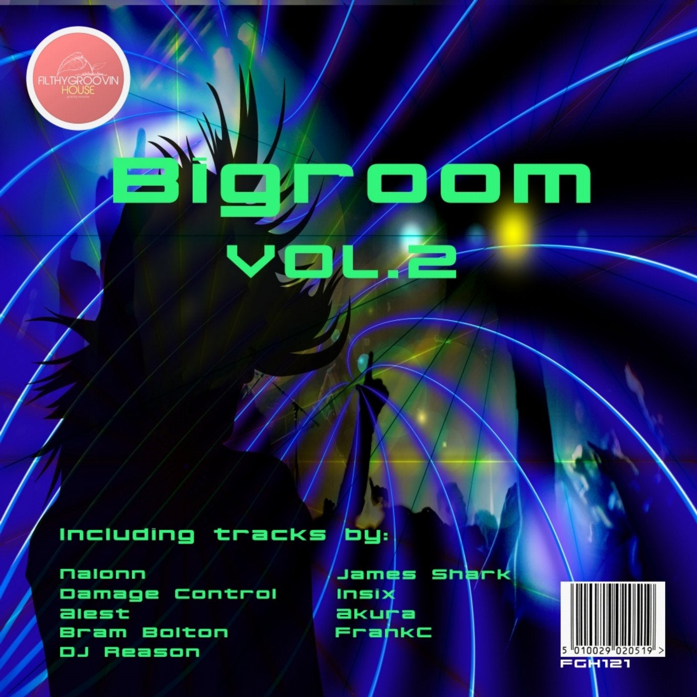 Bigroom, Vol. 2