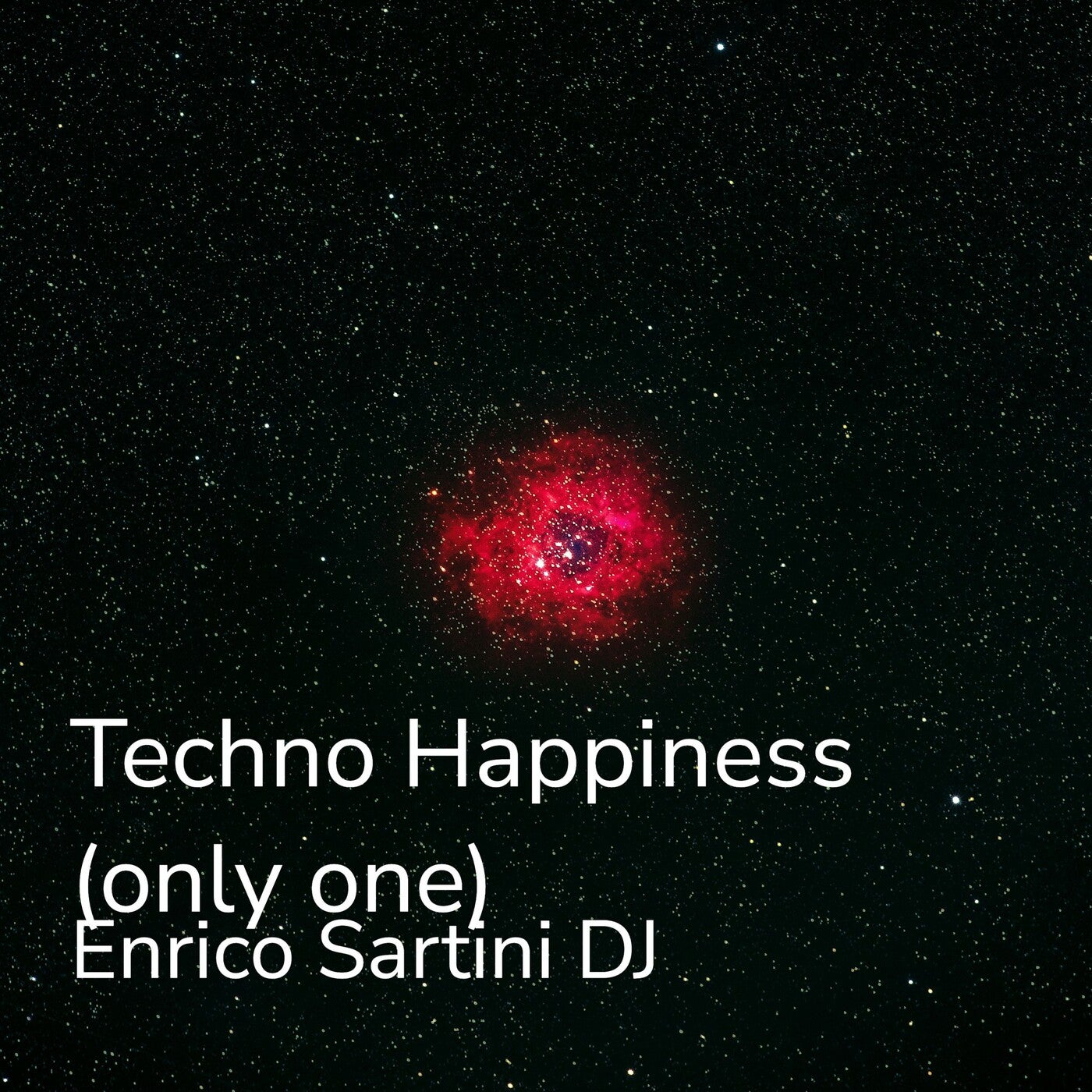 Techno Happiness (Only One)