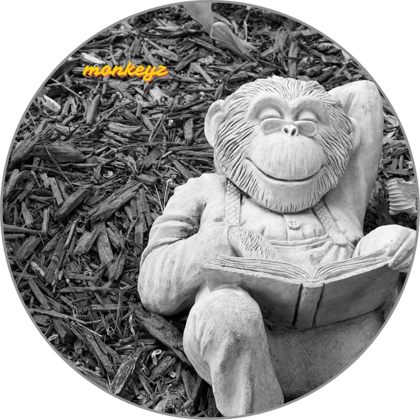 Monkeyz