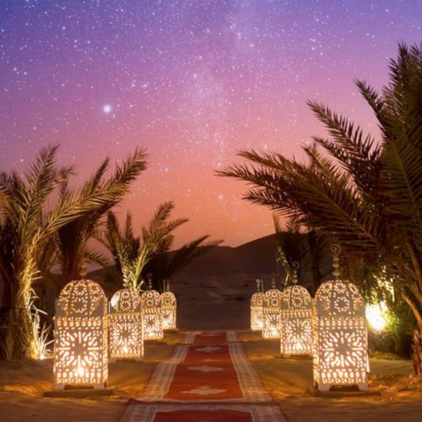 Maghreb Nights